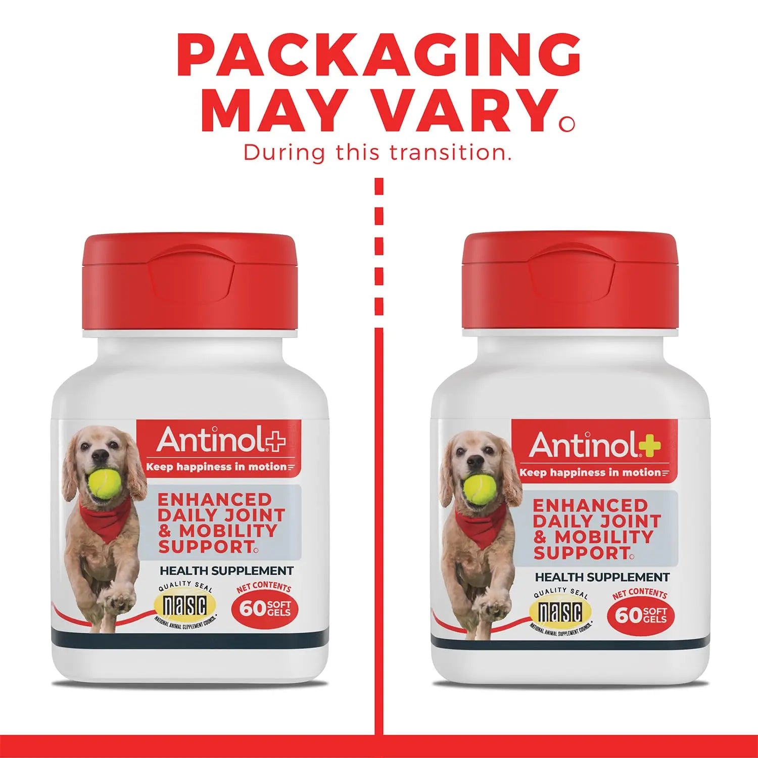 Antinol Plus, Mobility, Hip, and Joint Supplement for Dogs, Green-Lipped Mussels and Krill Oil - Dog Joint Supplement, Better and Faster Than Glucosamine and Chondroitin, 120 Soft Gels Antinol uk supplements