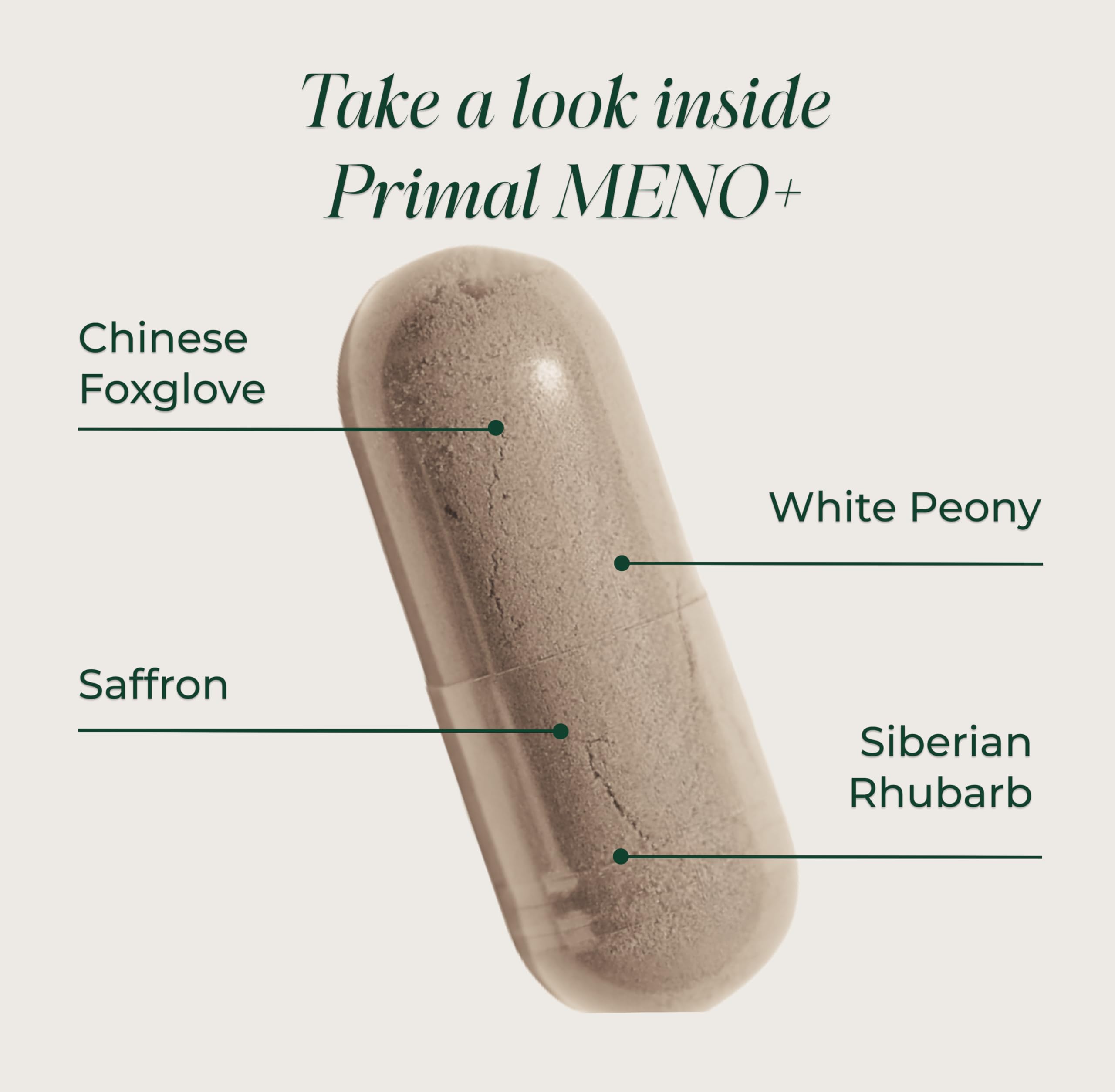 Primal Harvest Meno+ Menopause Support with Saffron & Chinese Herbs Support Mood, Menopausal Symptom Relief, & General Well-Being (1 Pack) Primal Harvest uk supplements