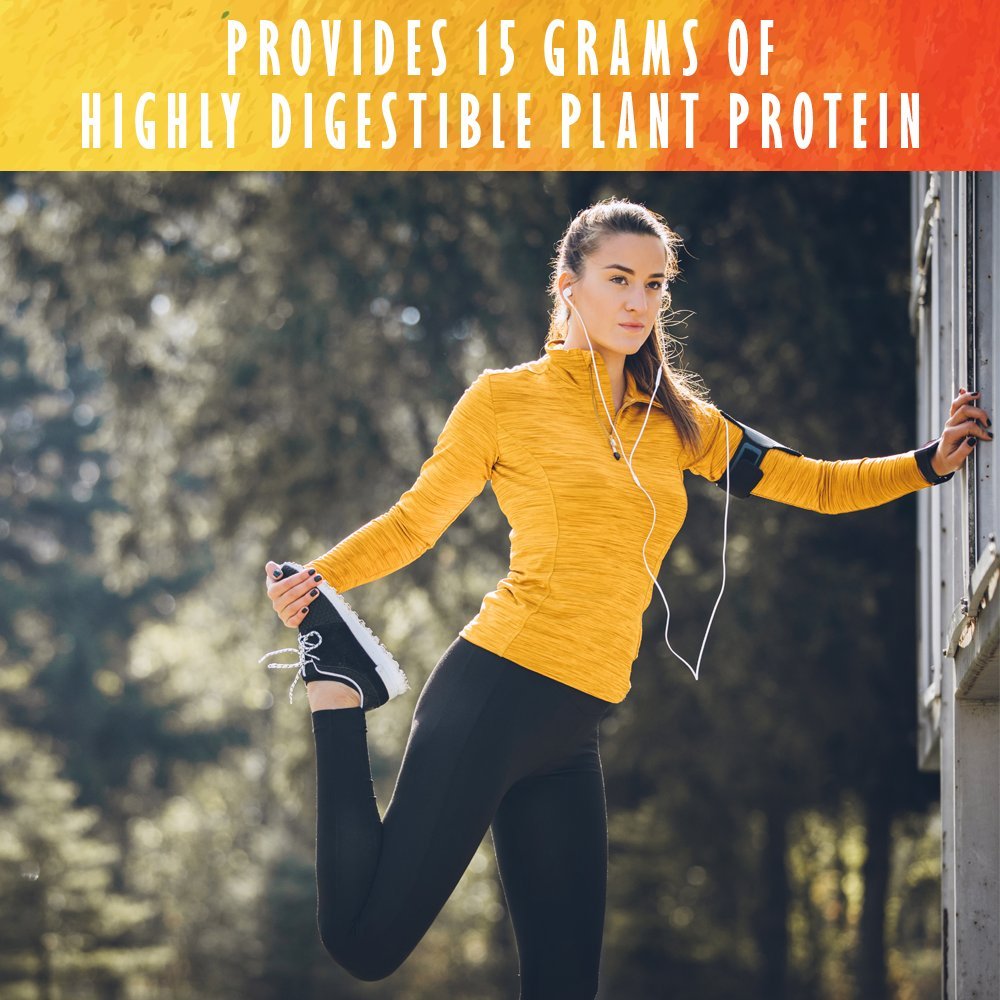 Garden of Life Organic Plant Protein Smooth Energy Powder, 10 Servings - Vegan, Grain Garden of Life uk supplements