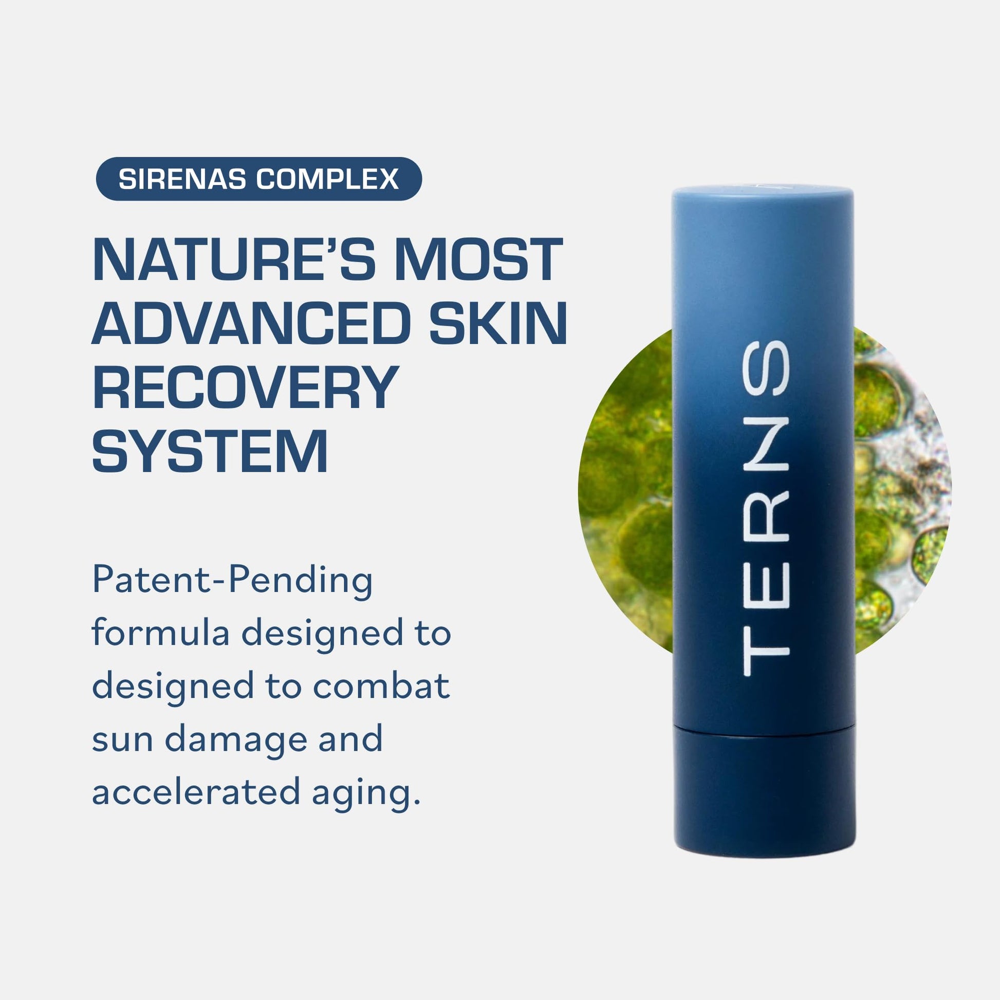 TERNS Everyday Lip Balm | Hyaluronic Acid + Baobab & Meadowfoam Oils, Algae-Powered Sirenas Complex OS, Refreshing Mint, Non-Sticky Cushion Glide, Cruelty-Free TERNS uk supplements