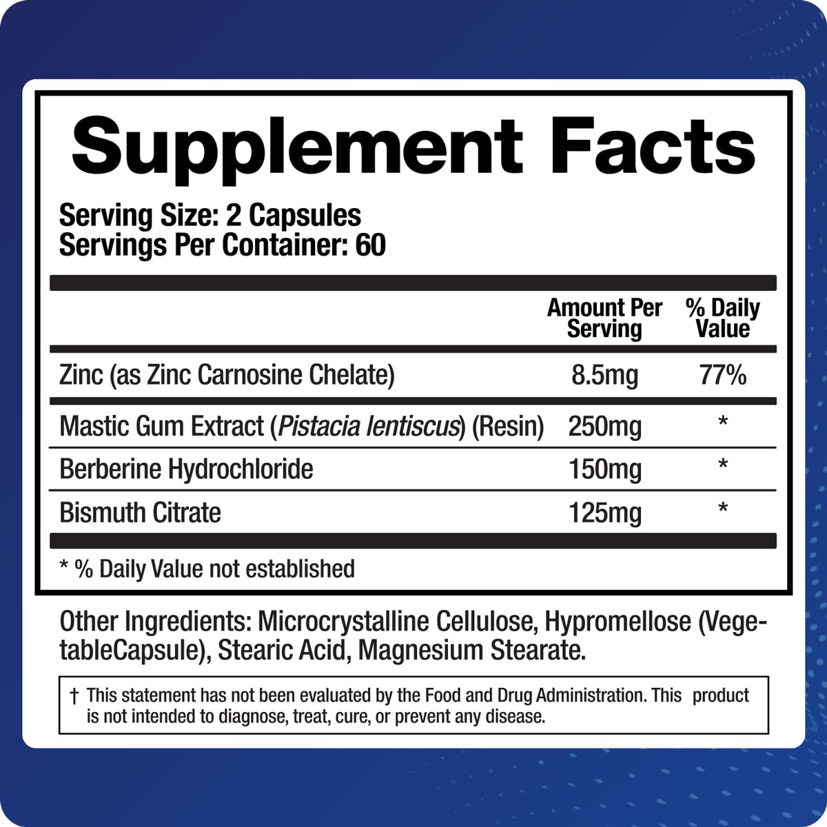 BioMatrix Pylor-X Gut Health Supplement – Mastic Gum, Berberine, Zinc Carnosine & Bismuth Salts for Gastric Support, Digestive Comfort, Stomach Lining Protection - (120 Capsules) 30-60 Day Supply BioMatrix uk supplements