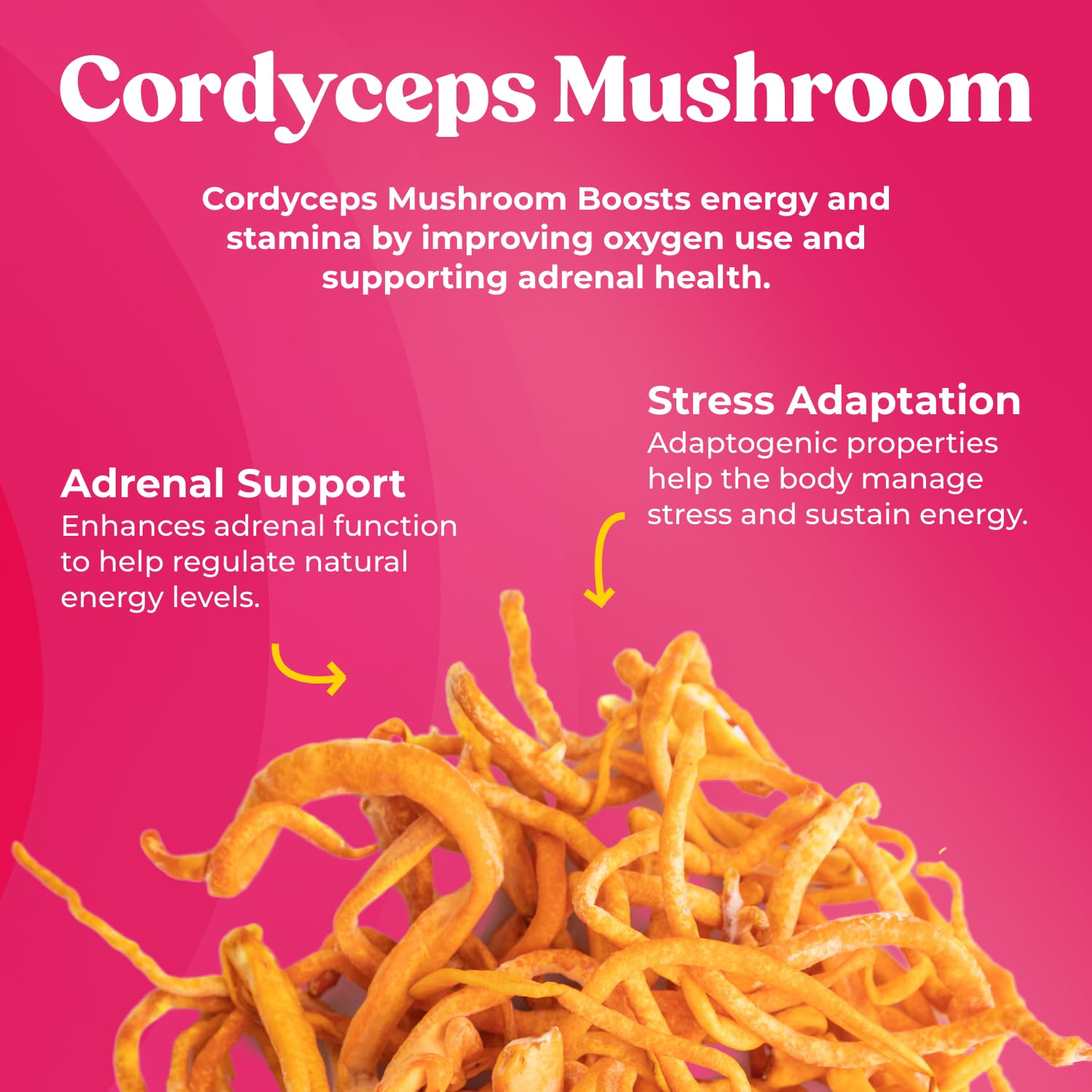 Fungiments Super Bouncy Mushroom Supplement – Cordyceps Focus Capsules for Adults – Natural Brain Boost, Green Tea Energy Vitamins Without jitters, Stamina for Women, Fatigue Support – 60 Count Fungiments uk supplements