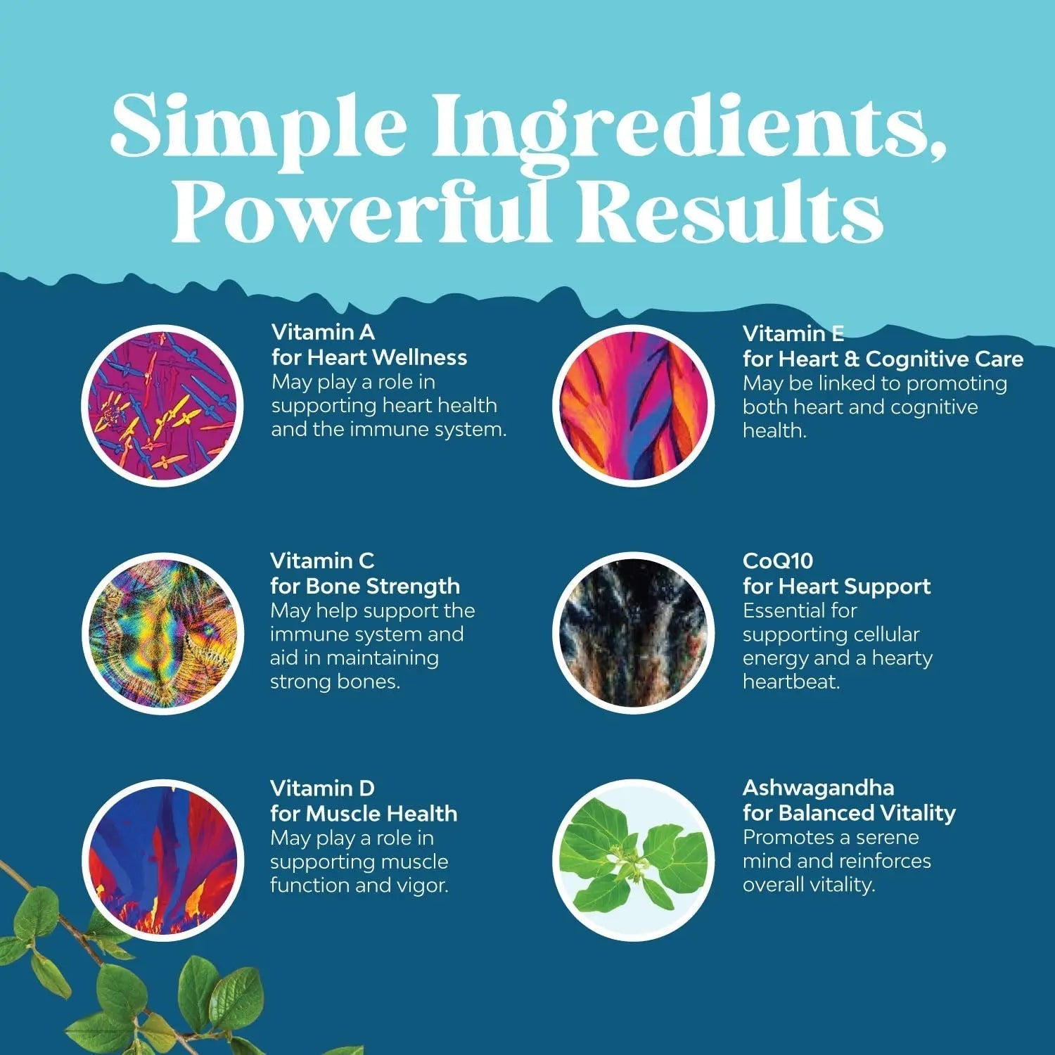 Natures Craft Men's Multivitamin Gummies with Superfood Complex - Daily Multivitamin for Men Gummies with CoQ10 and Ashwagandha Natures Craft uk supplements