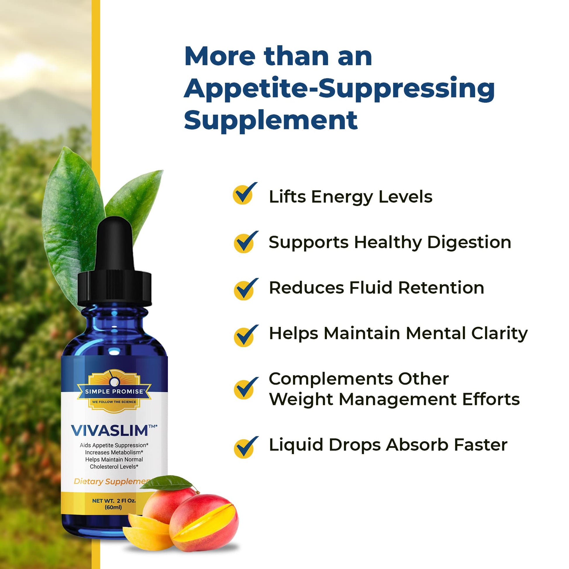 Simple Promise - VivaSlim - Natural Liquid Drops with African Mango, 2 fl oz Simple Promise uk supplements
