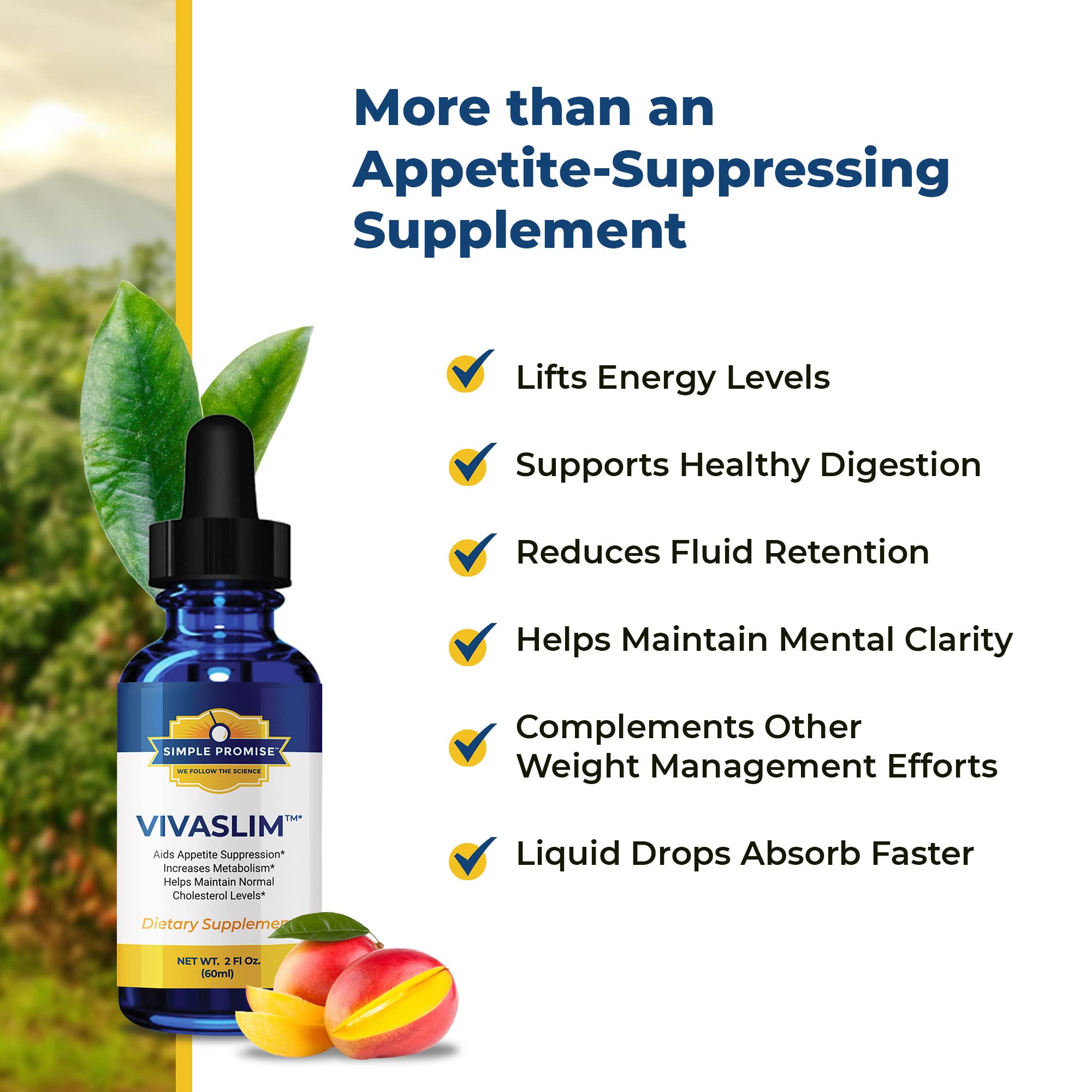Simple Promise - VivaSlim - Natural Liquid Drops with African Mango, 2 fl oz Simple Promise uk supplements
