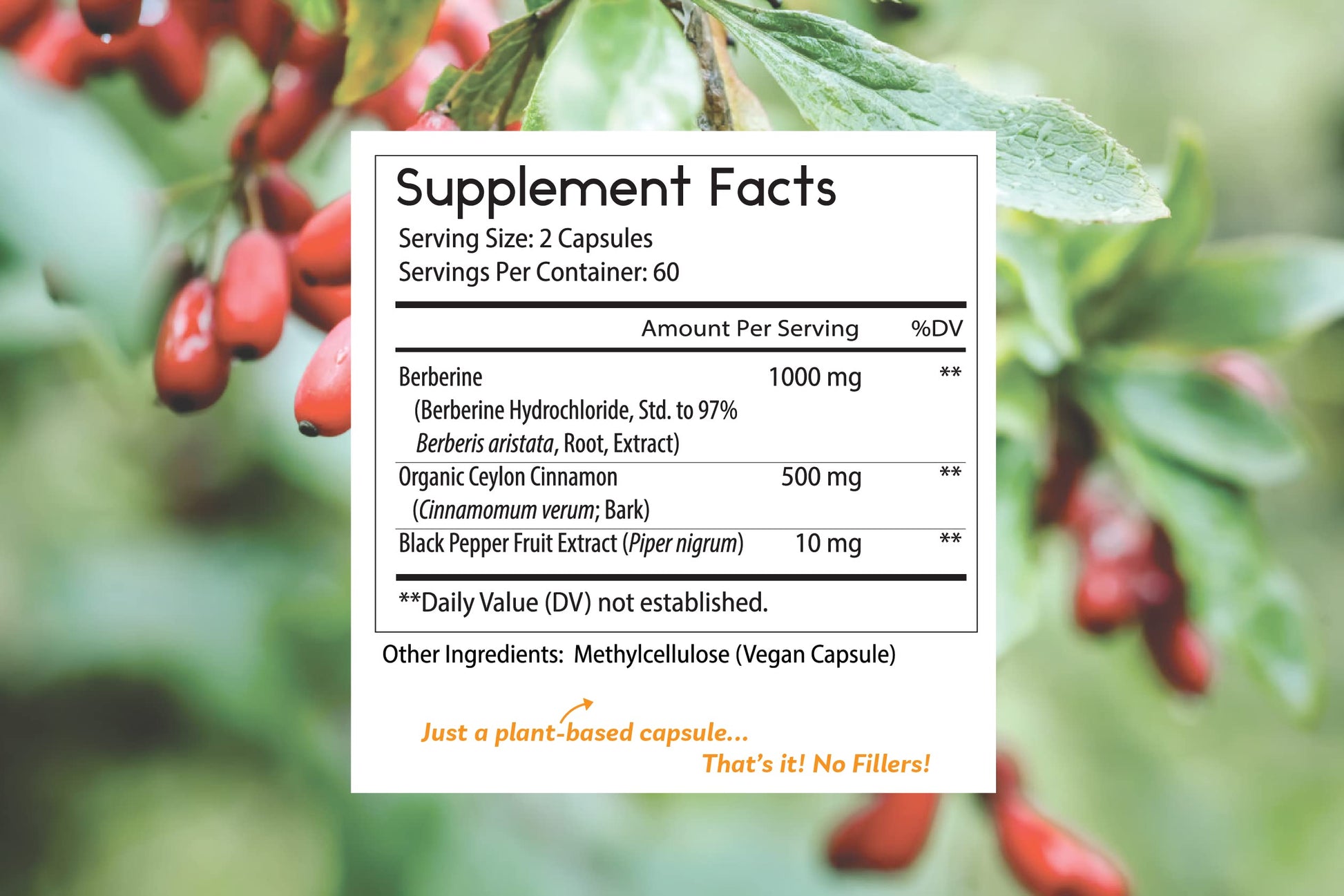 Thomas' all-natural Remedies Berberine 500mg (1000mg Per Serving)- 120 Vegan Capsules Thomas' all-natural Remedies uk supplements