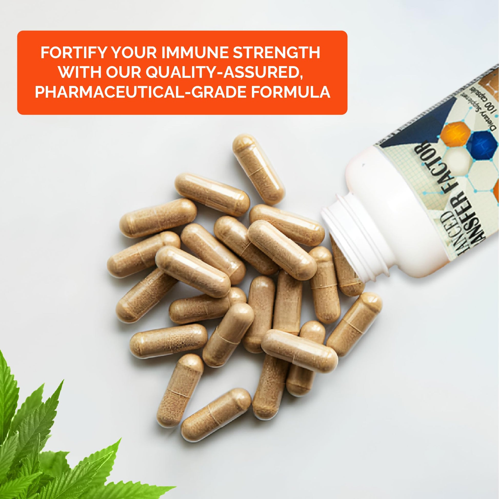 Transfer Factor Enhanced, 100 Natural Capsules, Immune Support - Transfer Factor Multi Immune from Cow Colostrum, Egg Yolk & Special Blend of Mushrooms Dislafarm uk supplements
