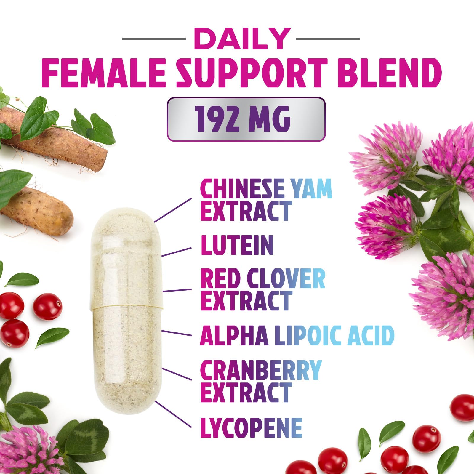 Multivitamin for Women - with Vitamins A, C, D, E, B6, B12, Zinc, Calcium & Magnesium, Womens Daily Multi Vitamin Multimineral Supplement for Bone Health, Energy & Immune Support - 120 Capsules Nature's Nutrition uk supplements