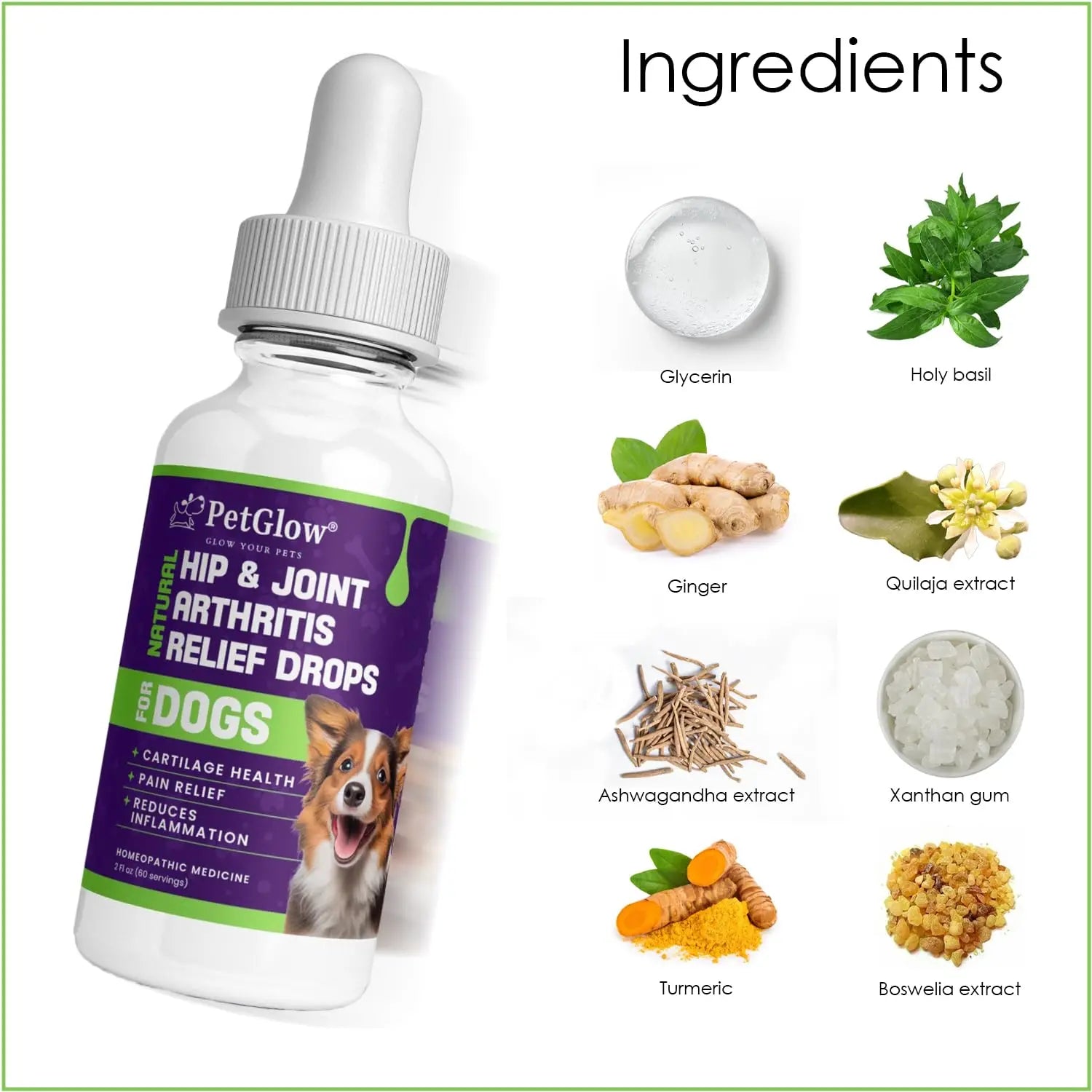 Petglow® Natural Hip & Joint Arthritis Relief Drops with Curcumin & Boswellia, Homeopathic Anti-Inflammatory Formula for Dogs, Cats & Horses, Supports Flexibility, Comfort & Mobility Naturally Petglow uk supplements