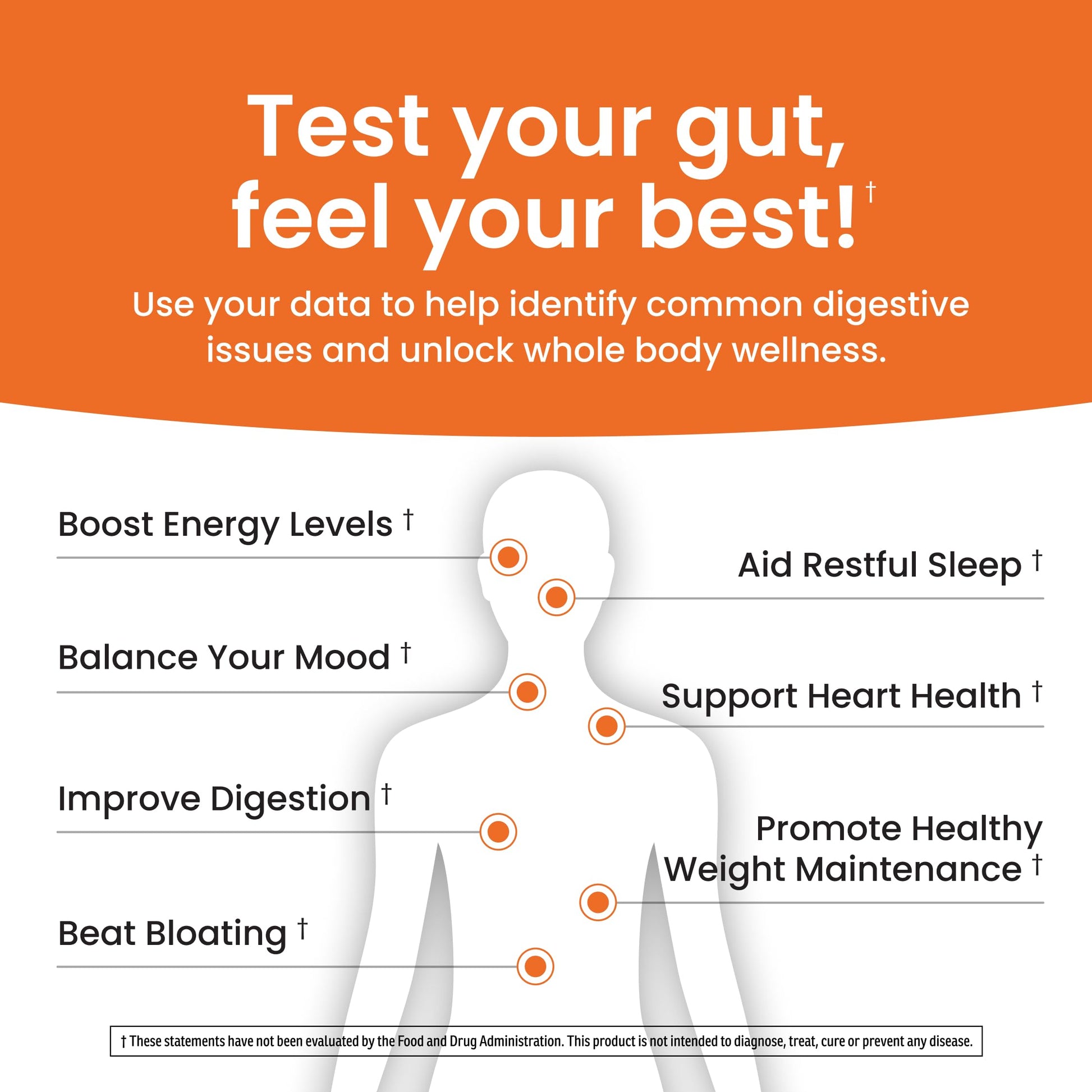 Ombre Gut Health Test Kit - Probiotic Recommender at Home Test for Women & Men - Detailed Custom Gut Microbiome Analysis for Digestive, Immune and Mental Health with Food Suggestions Ombre uk supplements