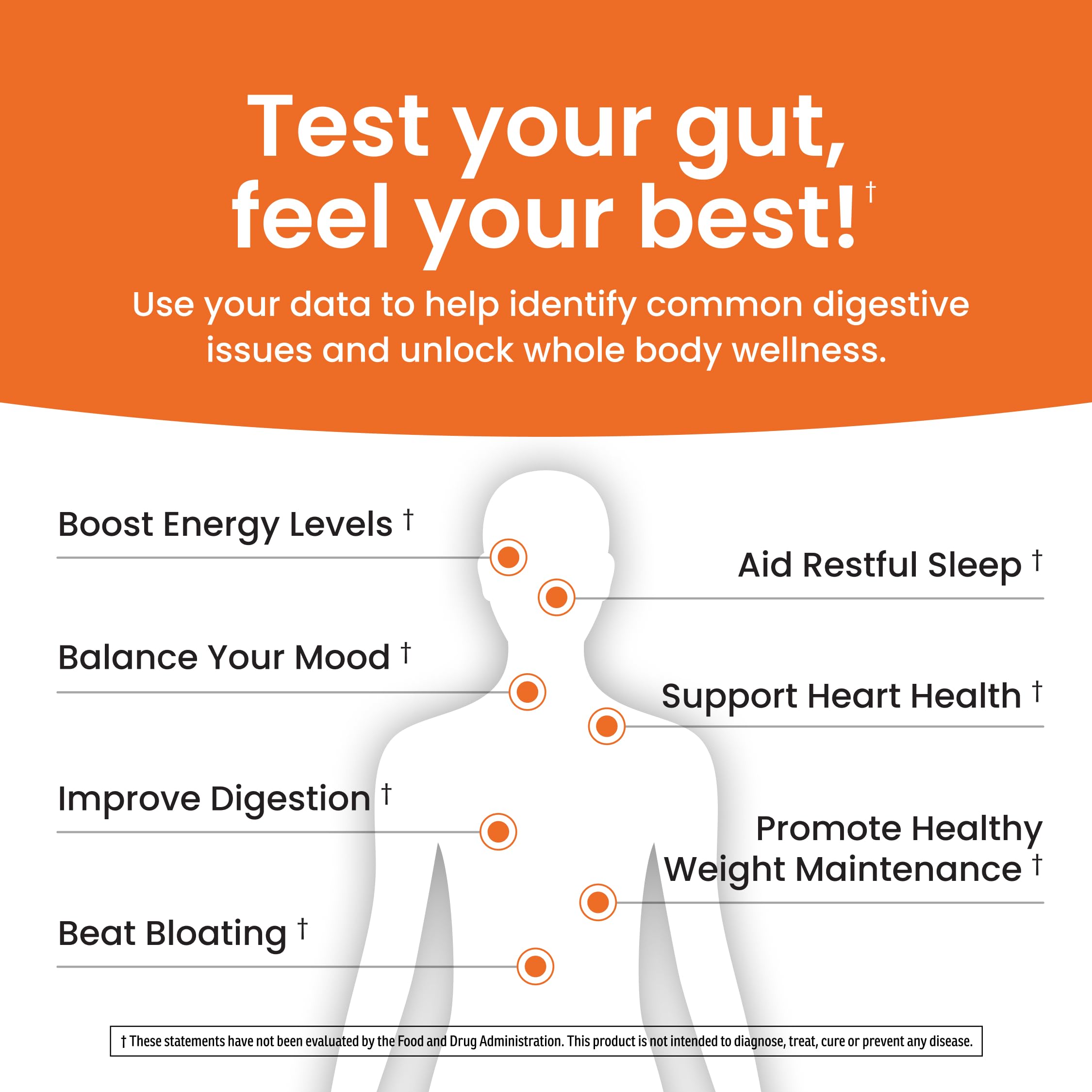 Ombre Gut Health Test Kit - Probiotic Recommender at Home Test for Women & Men - Detailed Custom Gut Microbiome Analysis for Digestive, Immune and Mental Health with Food Suggestions Ombre uk supplements
