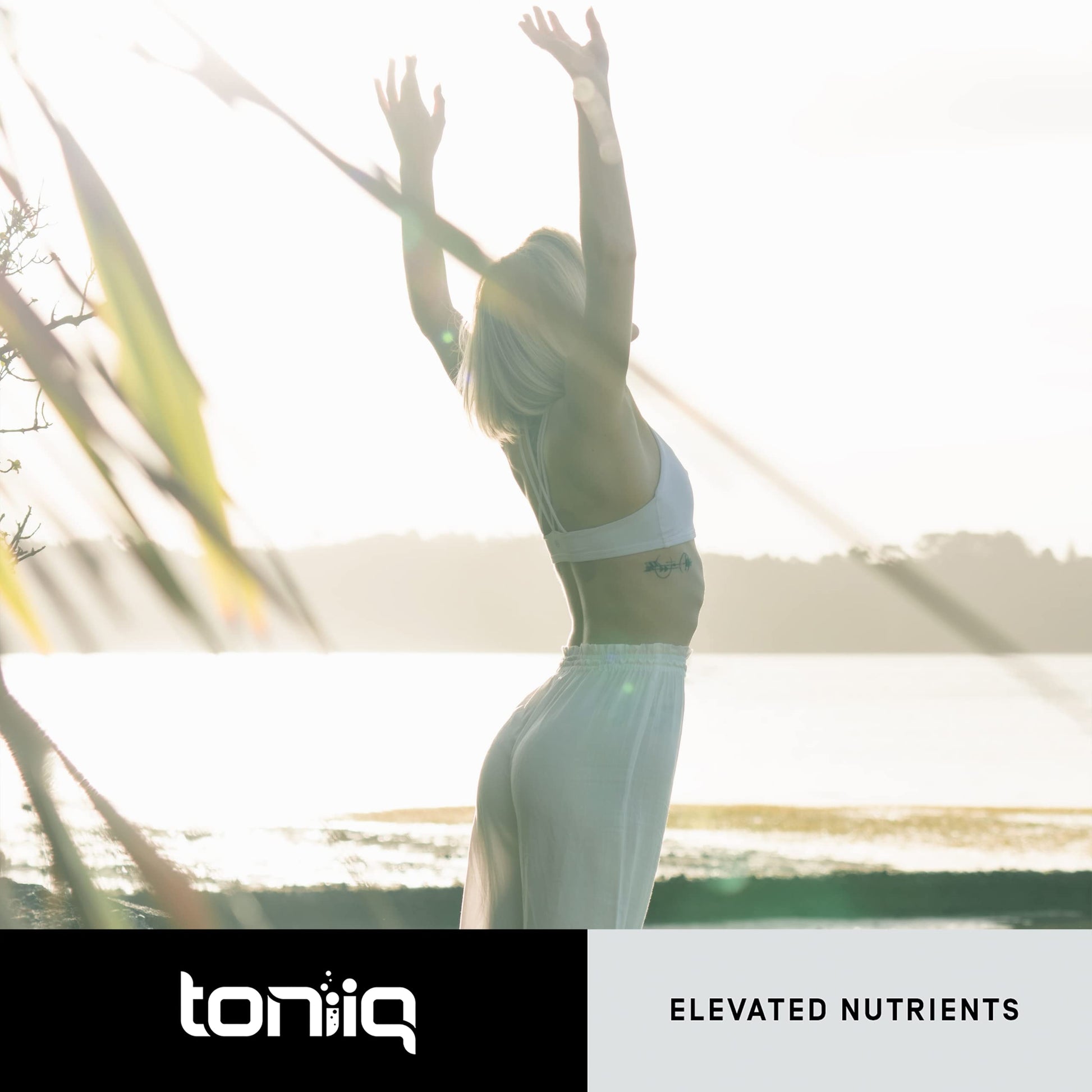 Toniiq Ultra High Purity Fisetin 500mg - 98%+ Higly Purified & Bioavailable Fisetin Supplement with MCT Oil for Absorption - Third-Party Tested Senolytic Supplements for Aging Support - 60 Capsules Toniiq uk supplements