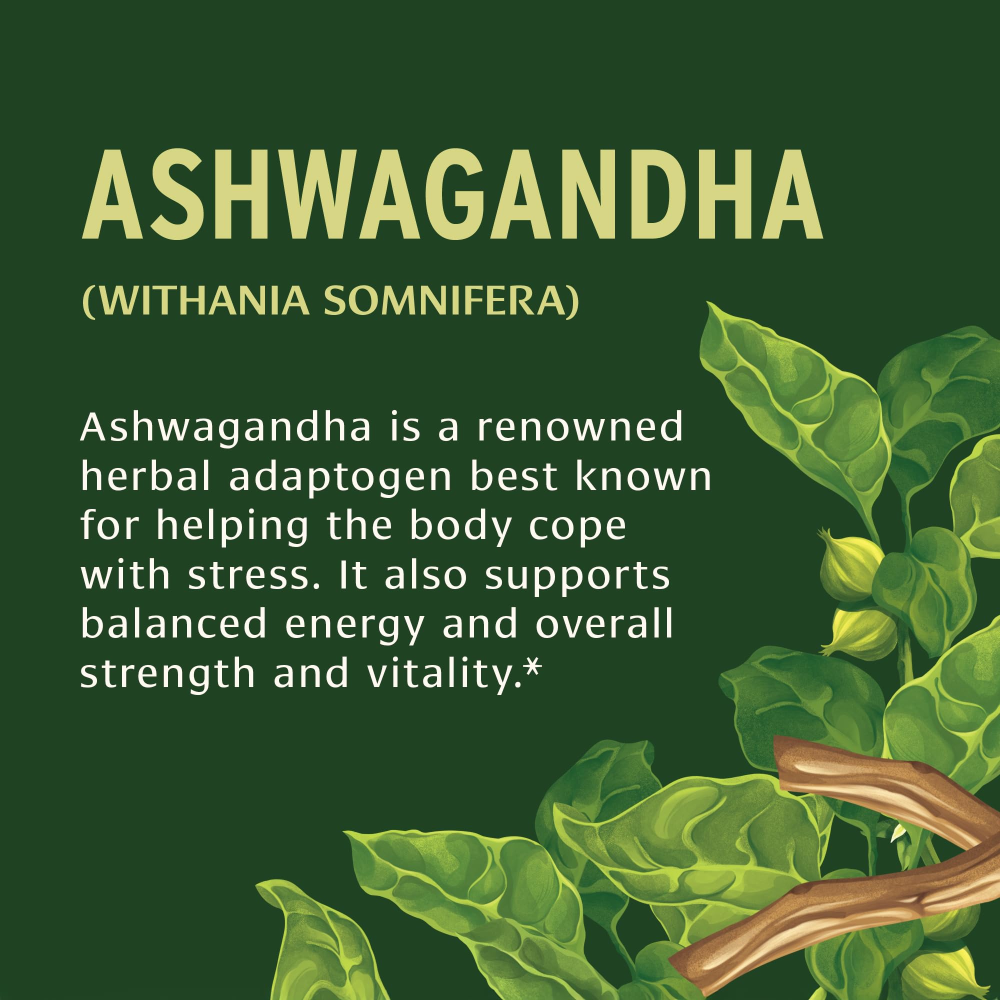 Banyan Botanicals Organic Ashwagandha - 1000mg per Serving - Cortisol Manager & Stress Relief Supplement - Adrenal Support for Mood, Restful Sleep & Muscle Recovery - 180 Tablets - Non-GMO, Vegan* Banyan Botanicals uk supplements