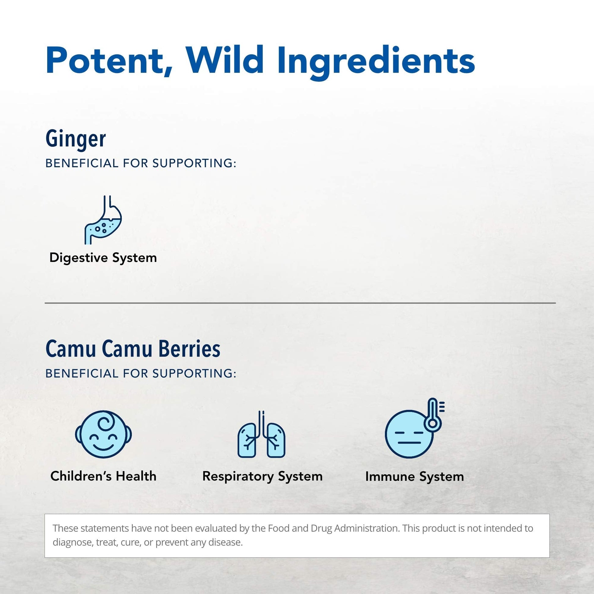 NORTH AMERICAN HERB & SPICE Inflam-eeZ - 90 Capsules - Supports Healthy Immune & Inflammatory Response - Ginger Root, Camu Camu Berries, Bromelain & Papain Plus - Non-GMO - 45 Total Servings NORTH AMERICAN HERB & SPICE uk supplements