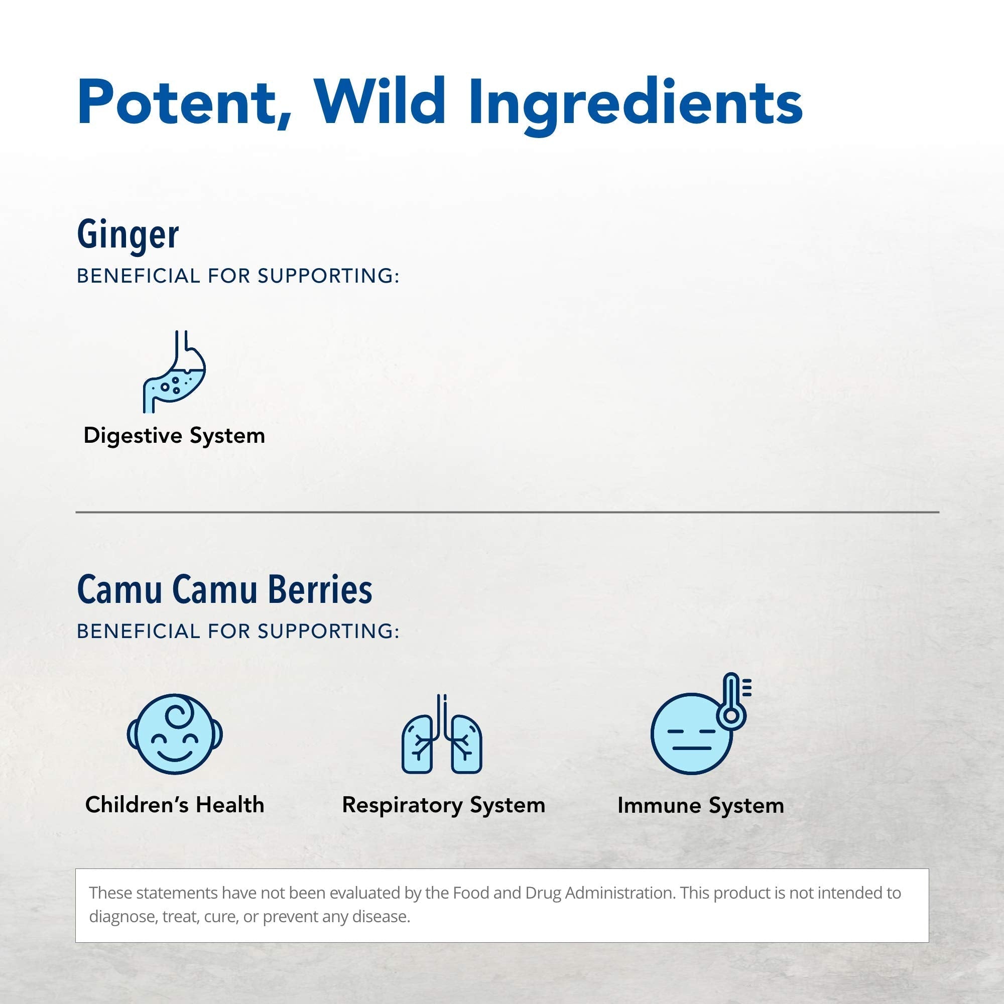 NORTH AMERICAN HERB & SPICE Inflam-eeZ - 90 Capsules - Supports Healthy Immune & Inflammatory Response - Ginger Root, Camu Camu Berries, Bromelain & Papain Plus - Non-GMO - 45 Total Servings NORTH AMERICAN HERB & SPICE uk supplements