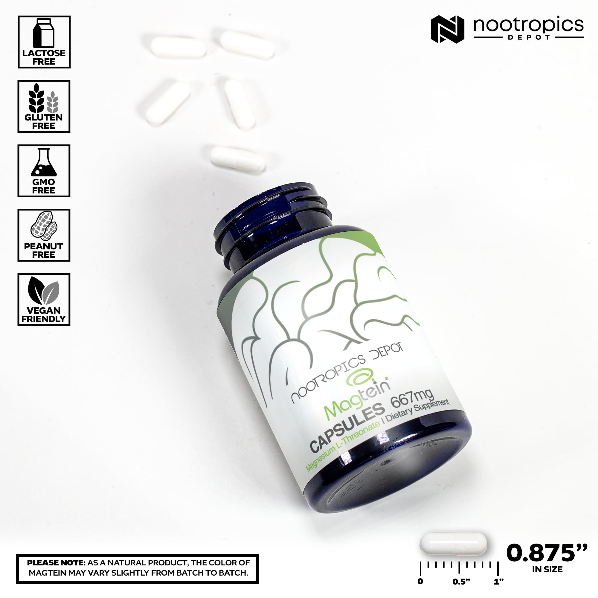 Nootropics Depot Magtein Magnesium L-Threonate Capsules | 90 Count | Mineral Supplement | Natural | Supports Mitochondrial Function | Boosts Energy and Cognitive Function Nootropics Depot uk supplements