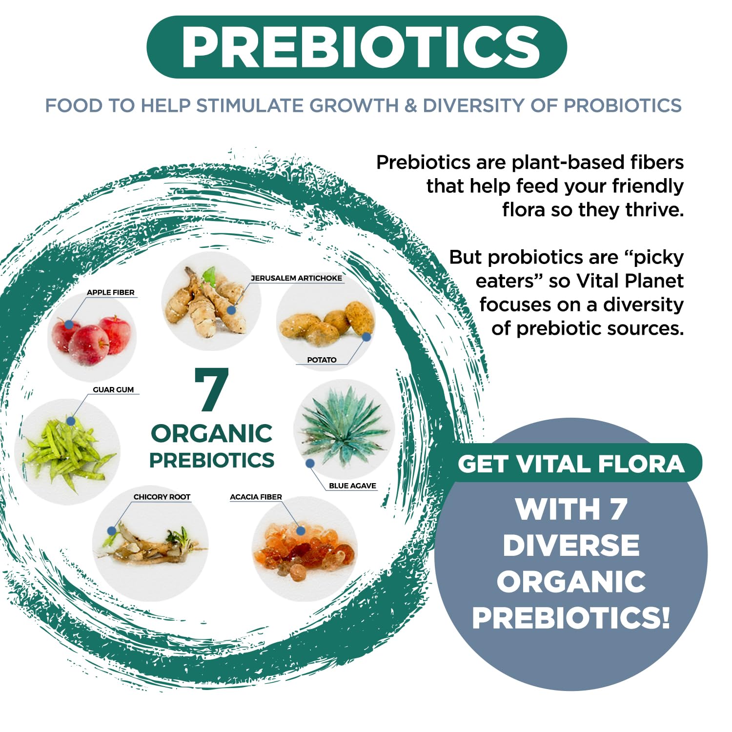 Vital Planet - Vital Flora Ultra Daily Probiotic 60 Billion CFU, Diverse Strains, Organic Prebiotics, Immune Support, Bloating Relief, Digestive Health Probiotics for Women and Men 60 Capsules Vital Planet uk supplements