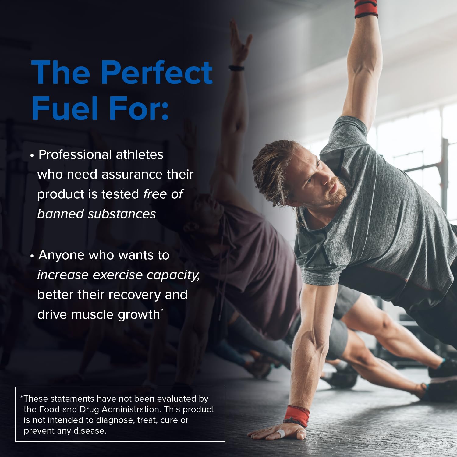Designs for Sport Creatine Monohydrate Powder - NSF Certified for Sport Creatine Designs for Sport uk supplements