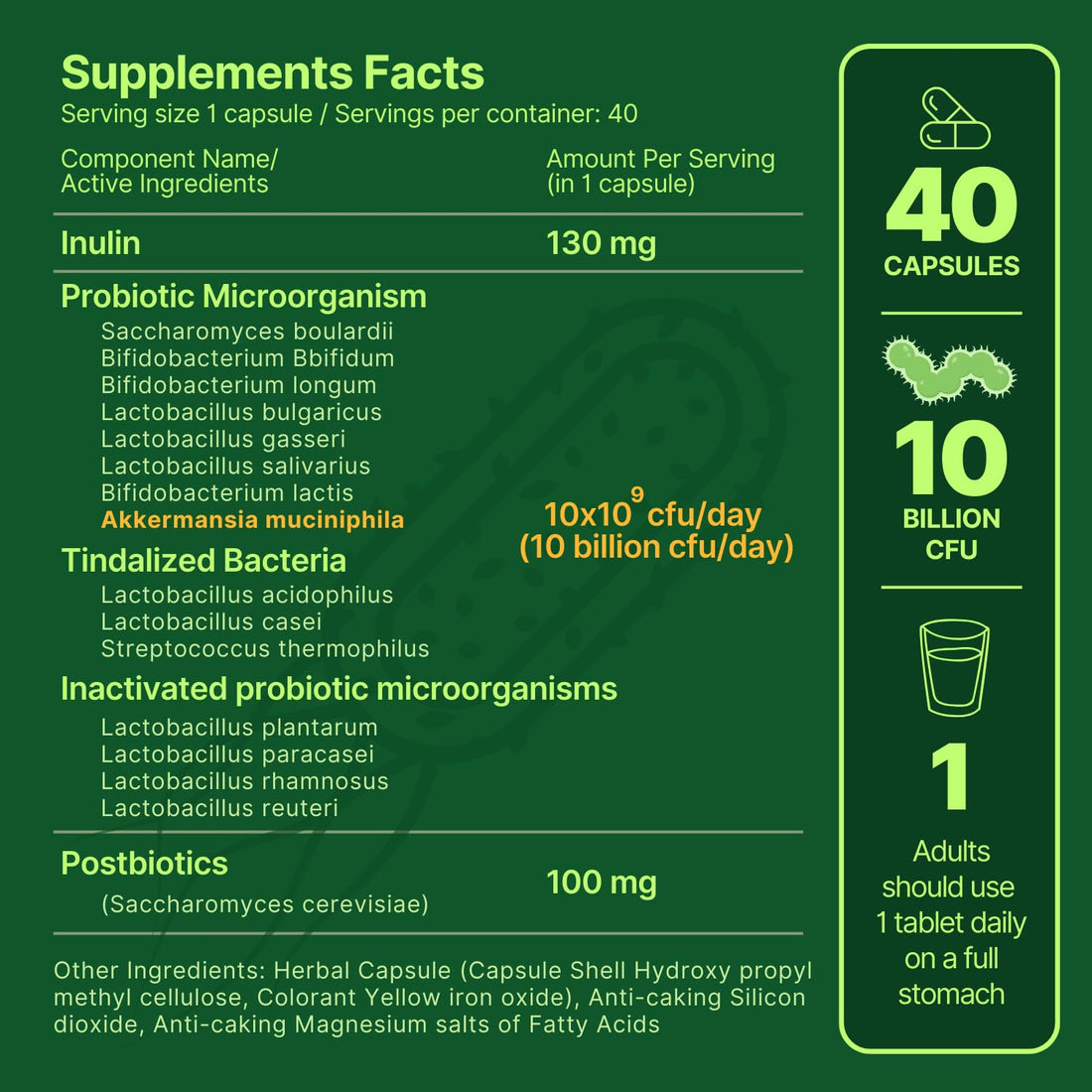 anocin Akkermansia Muciniphila + Probiotic, Postbiotic & Inulin - Gut Health Supplement for Digestion, Immune Support - 10 Billion CFU, Vegan & Gluten-Free anocin uk supplements
