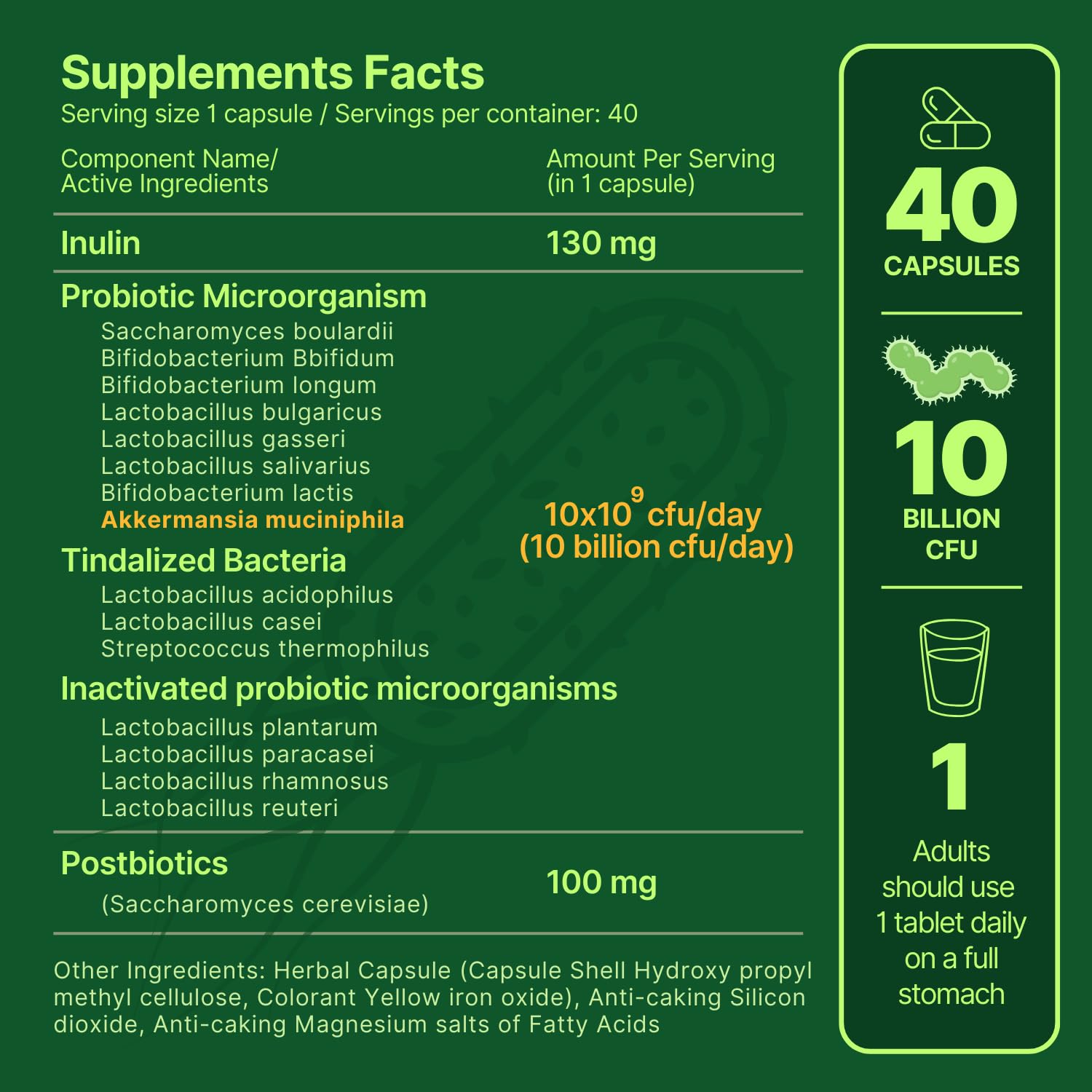 anocin Akkermansia Muciniphila + Probiotic, Postbiotic & Inulin - Gut Health Supplement for Digestion, Immune Support - 10 Billion CFU, Vegan & Gluten-Free anocin uk supplements
