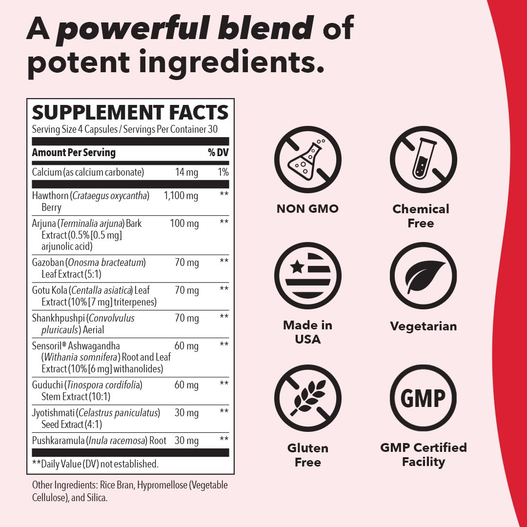 LifeSeasons B/P Stabili-T - Blood Pressure Support - Vitamin Supplement for Healthy Heart & Circulation - Ashwagandha, Arjuna & Hawthorn Berry - 240 Capsules LifeSeasons uk supplements