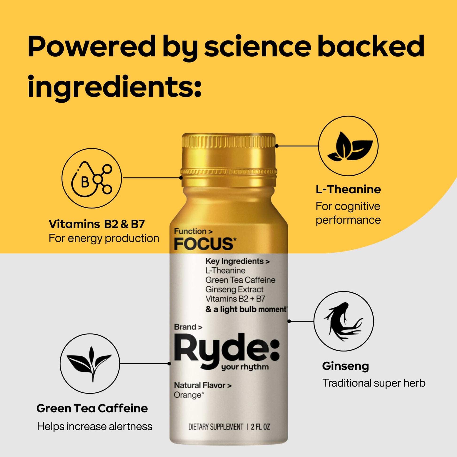Ryde: Focus Shot | Orange Flavor | L-Theanine & Ginseng | Green Tea Caffeine | Vitamins B2 & B7 | 0 Calories, 0 Sugar | 2 FL OZ Shots | Supports Focus* (8 Pack) RYDE uk supplements