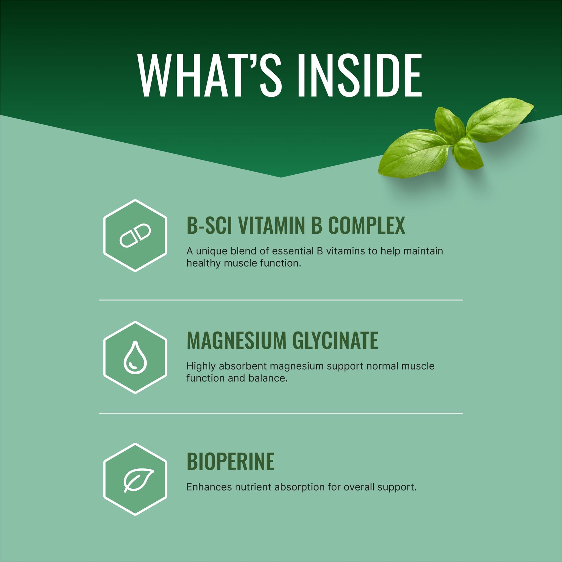 Approved Science Cramprin - High Absorption Magnesium, Vitamin B Complex, BioPerine - Muscle Cramps - 6 Month Supply - 2 Bottles - Vegan Approved Science uk supplements