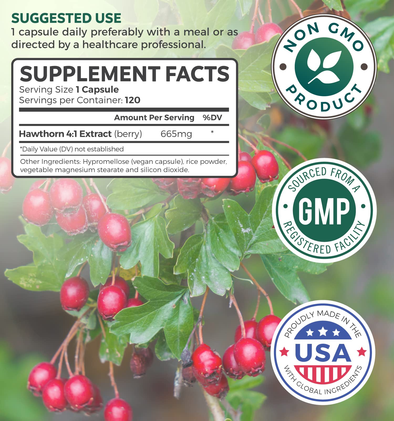 Hawthorn Berry Capsules - 4 Month Supply Digestion & Heart Health Supplement Healths Harmony uk supplements