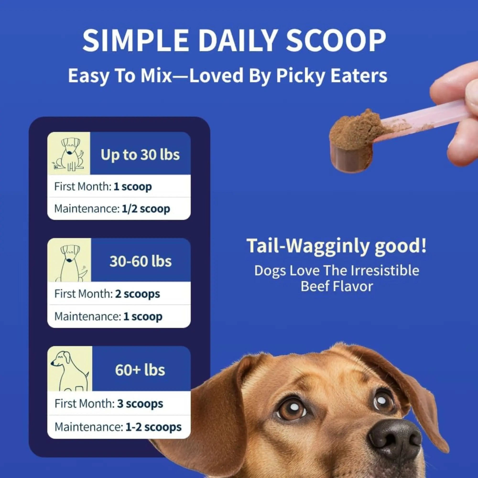 Fifth & Fido Joint Supplement for Dogs - Glucosamine for Dogs - Pet Vitamins and Supplements Powder with Chondroitin & MSM - Hip & Joint Support for Mobility, Stiffness & Flexibility - Mushroom Blend Fifth & Fido uk supplements