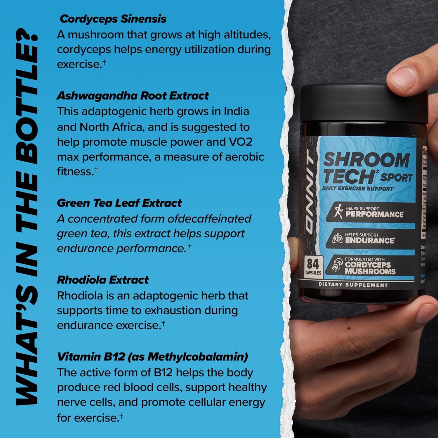 ONNIT Cognitive & Endurance Support Bundle: Alpha Brain Nootropic Capsules (30 Count) + Shroom Tech Sport Exercise Support Capsules (28 Count), IGEN Non-GMO Tested Focus, Energy & Endurance, 2 Pack ONNIT uk supplements