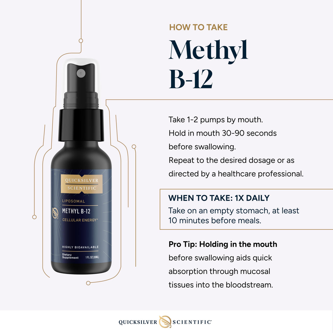 Quicksilver Scientific Methyl B12-1000mcg Vitamin B12 as Methylcobalamin - with Nano Technology for Superior Absorption - Supportive Energy Supplement (30ml / 90 Servings) Quicksilver Scientific uk supplements