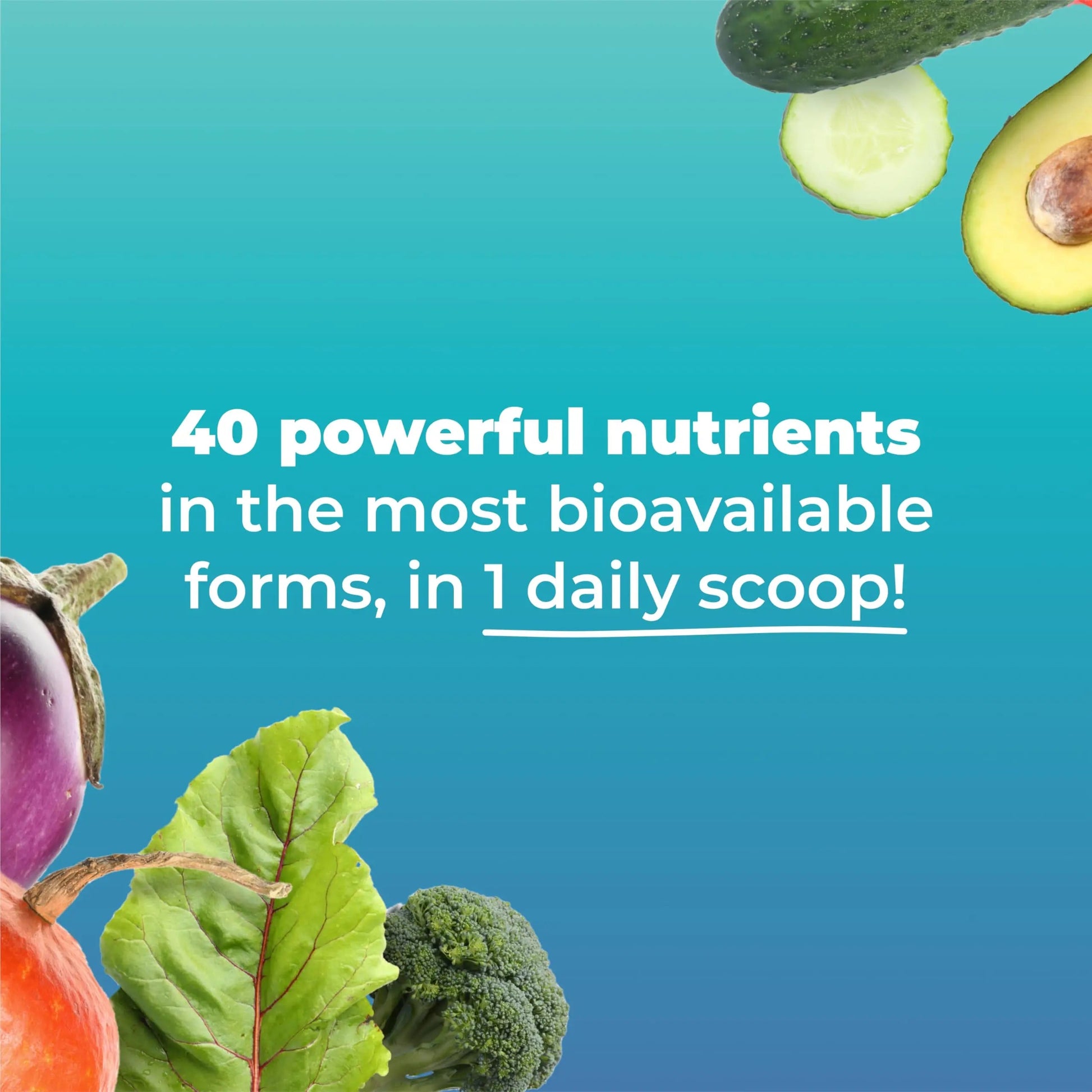 MultiAbsorb~Daily Essential, Multi-Nutrient Powder for Optimal Health, Vitamins, Minerals, Antioxidants, No Fillers or Preservatives Imix Nutrition uk supplements