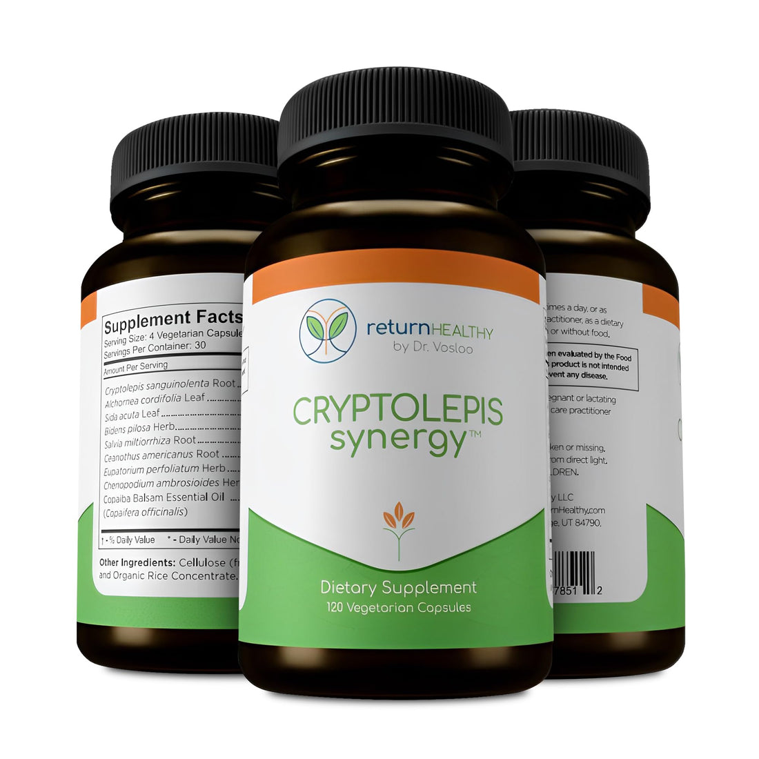 Return Healthy Cryptolepis Synergy, Immune Support Vitamins, Immune System Booster for Adults, Liver, Lymphatic, & Immune Support Supplement, Supports Lyme & Natural Parasite Defense, 120 Capsules Return Healthy uk supplements