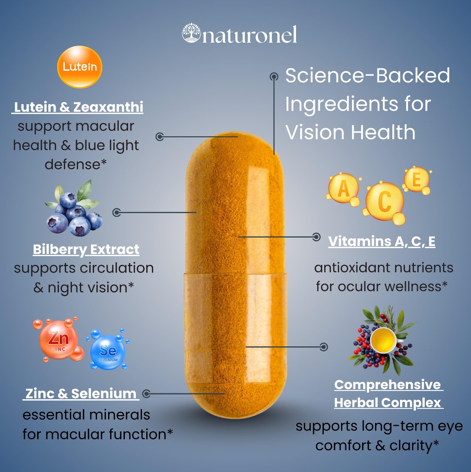 Naturonel Macular Support Formula – Vision & Eye Health with Lutein, Zeaxanthin, Bilberry, Eyebright & Antioxidants | Non-GMO, Made in USA, GMP Certified – 60 Capsules, 30 Day Supply (1) Naturonel uk supplements