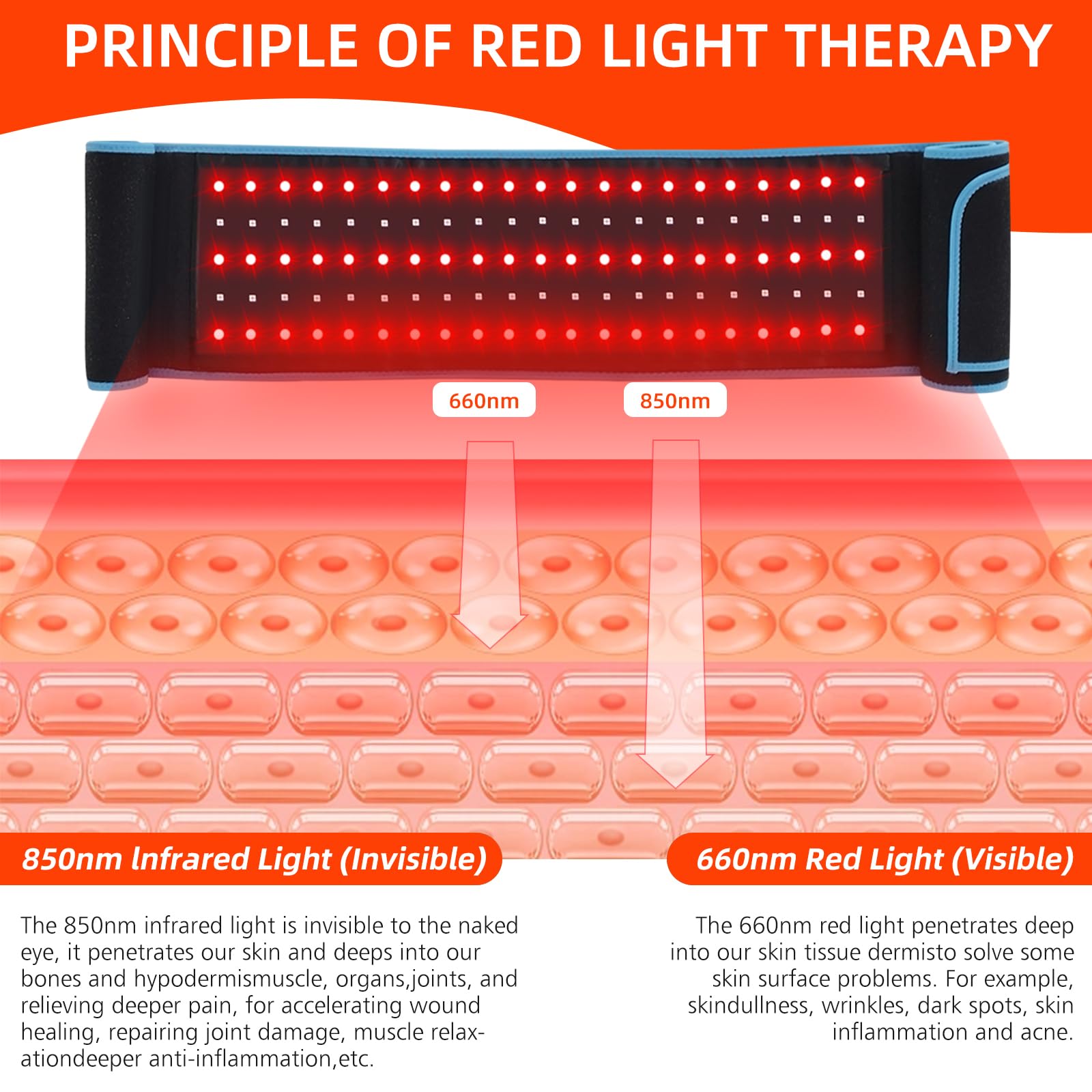 Red Light Therapy Belt, 660&850nm 3 -in-1 Big Chips Near Infrared Therapy Wrap for Body HEDYNSHINE uk supplements