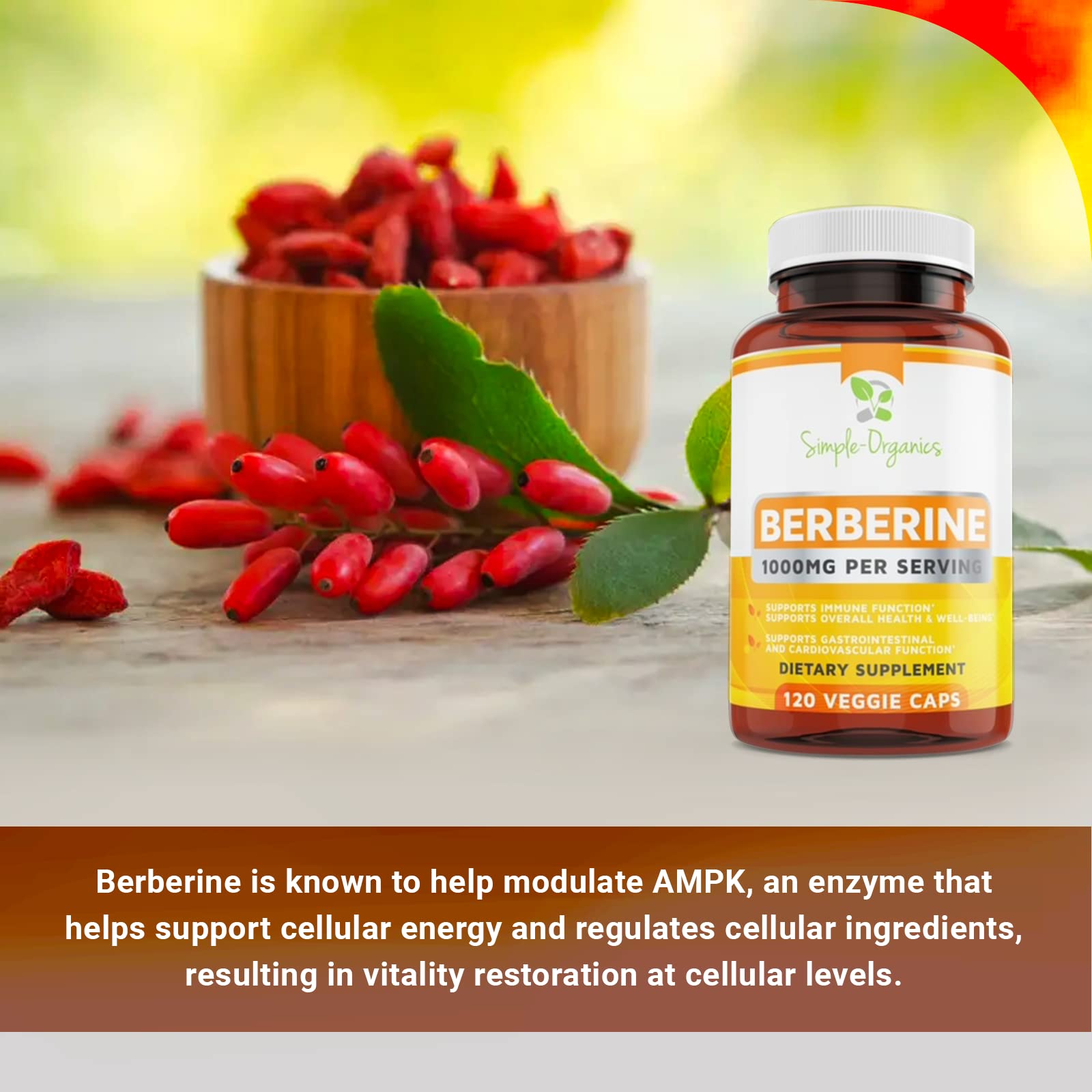 Simple-Organics Berberine 500mg (1000mg Per Serving) for Supports Healthy Immune Simple-Organics uk supplements