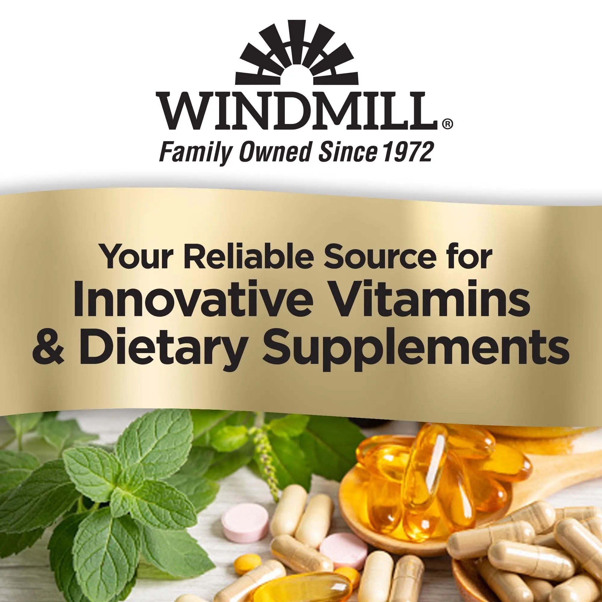 Windmill Natural Vitamins Men’s Multi 50+, with Vitamin D3, Mens Multivitamins for Daily Nutritional Support, Multivitamin for Men, 180 Tablet, 180 Day Supply Windmill uk supplements
