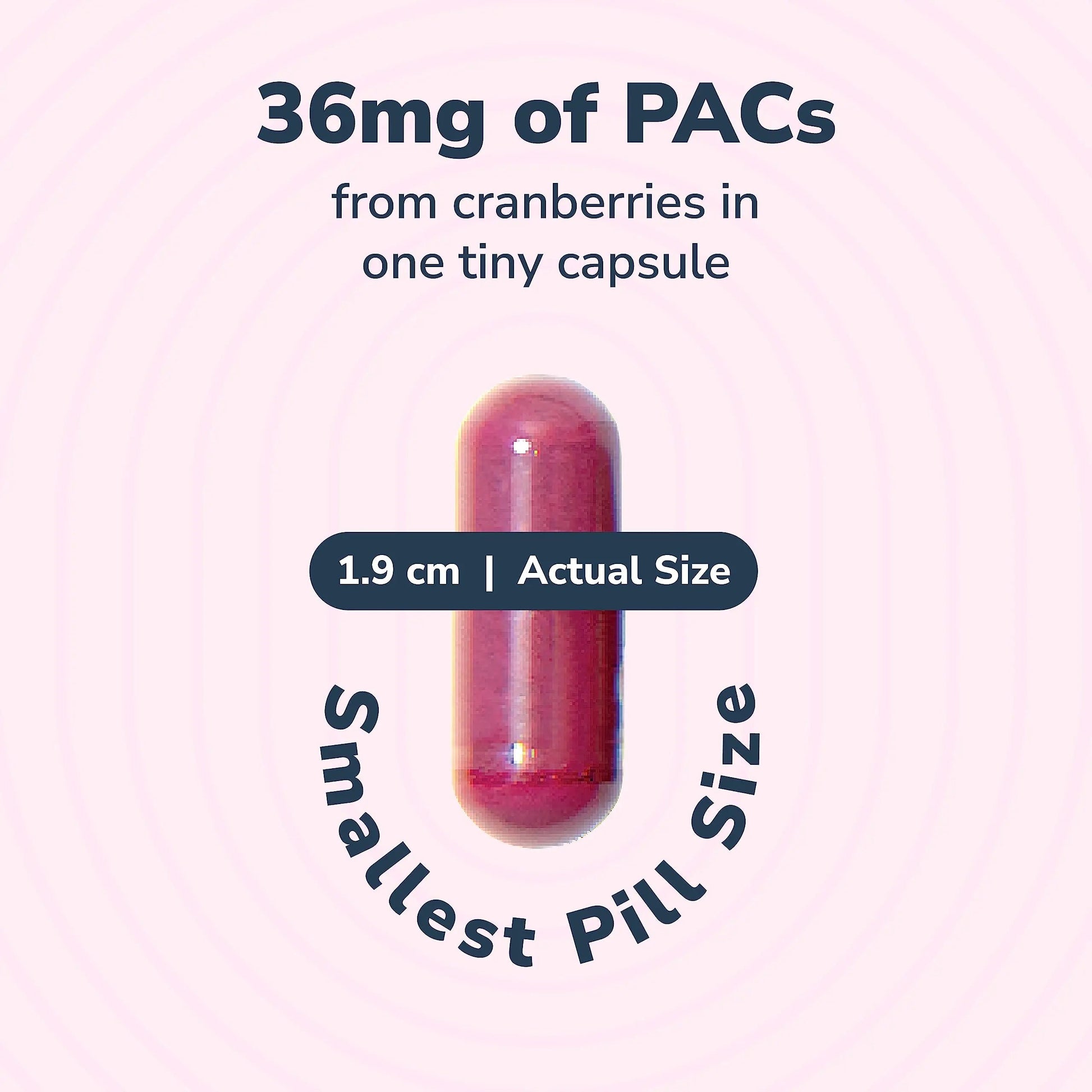 20% Bundle Utiva Cranberry PACs 30 Vegi Capsules Cranberry Supplement for Urinary Tract Health for Women and Men + Utiva D-Mannose 500mg 120 Capsules Naturally Flush The Bladder and Urinary Tract Szio+ uk supplements
