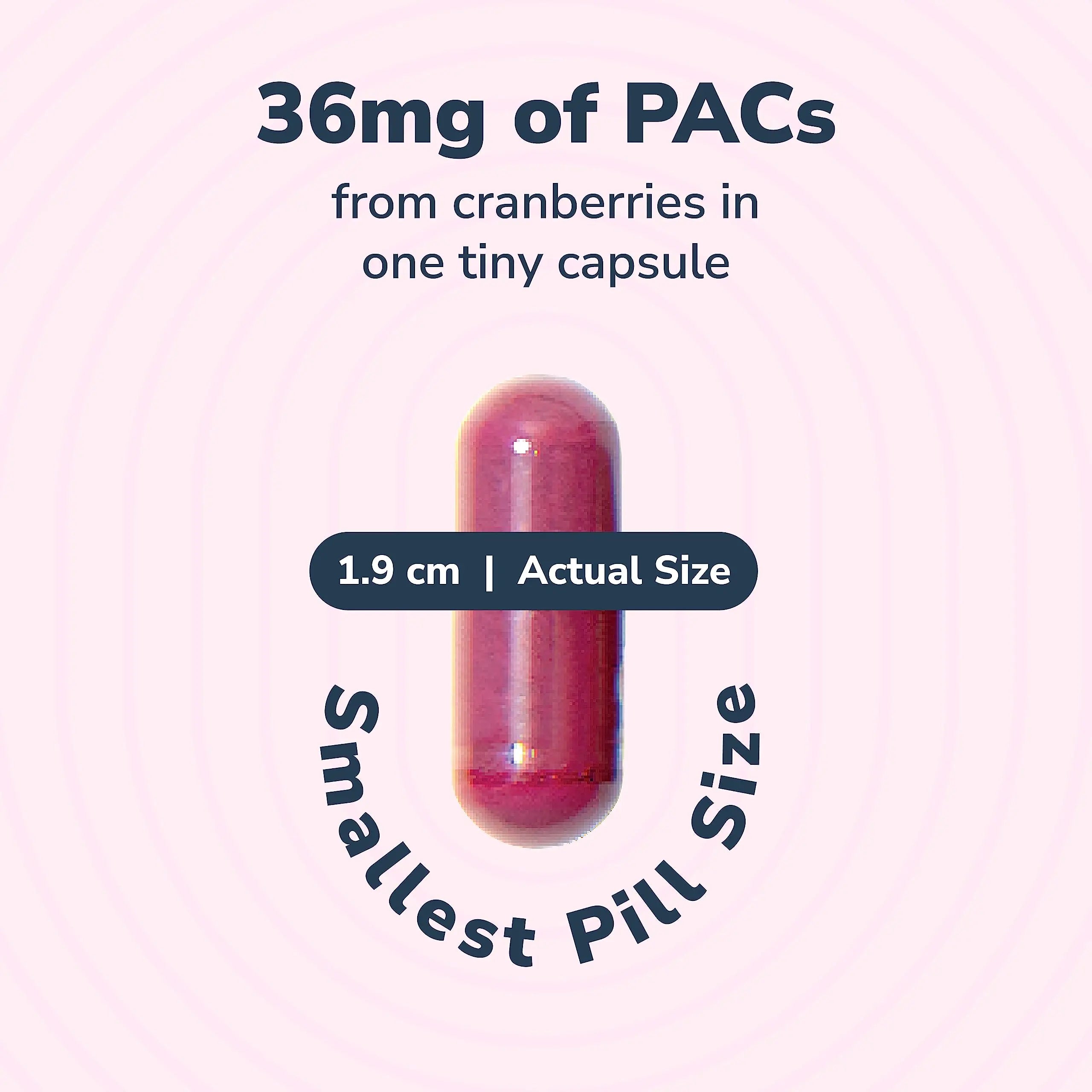 20% Bundle Utiva Cranberry PACs 30 Vegi Capsules Cranberry Supplement for Urinary Tract Health for Women and Men + Utiva D-Mannose 500mg 120 Capsules Naturally Flush The Bladder and Urinary Tract Szio+ uk supplements