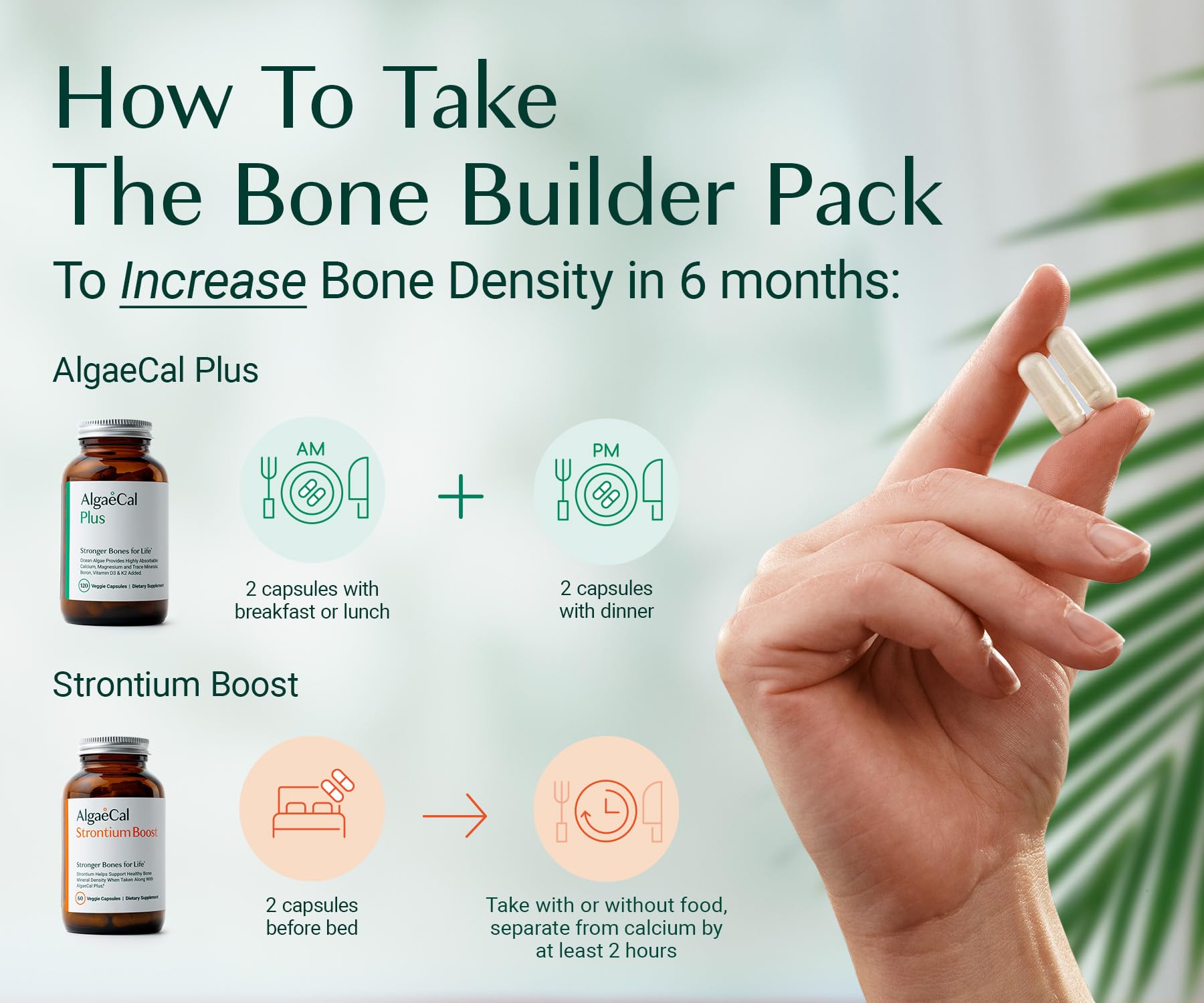 AlgaeCal - Bone Builder Pack for Bone Density Increase, Clinically Supported Plant Based Calcium Supplement & Strontium, Vitamins K2 (100mg), D3 (1600 IU), Magnesium & 16 Essential nutrients ALGAECAL uk supplements