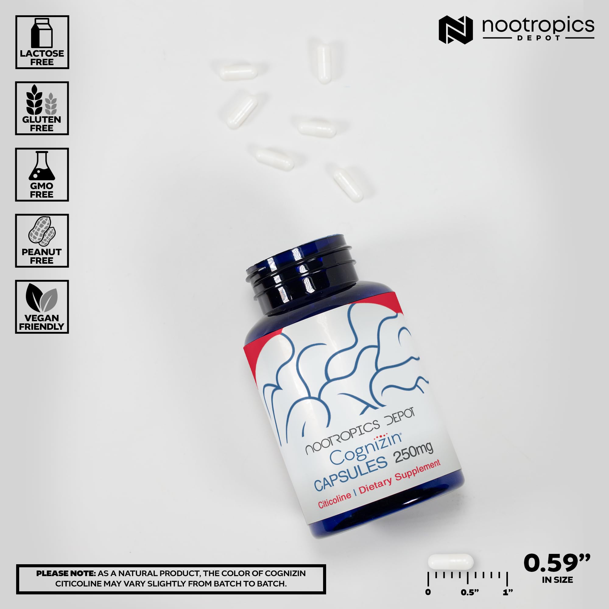 Nootropics Depot Cognizin Citicoline Capsules | 60 Count | Choline Supplement | Brain Health Supplement | Regulates Memory and Cognitive Function | Supports Attention, Focus and Recall Nootropics Depot uk supplements