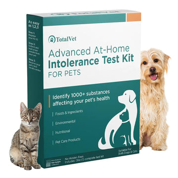TotalVet Dog Allergy +1000 Food & Nutritional Sensitivity Test, Pet Intolerance Kit at Home — Advanced Complement to DNA Tests for Complete Pet Wellness TotalVet uk supplements