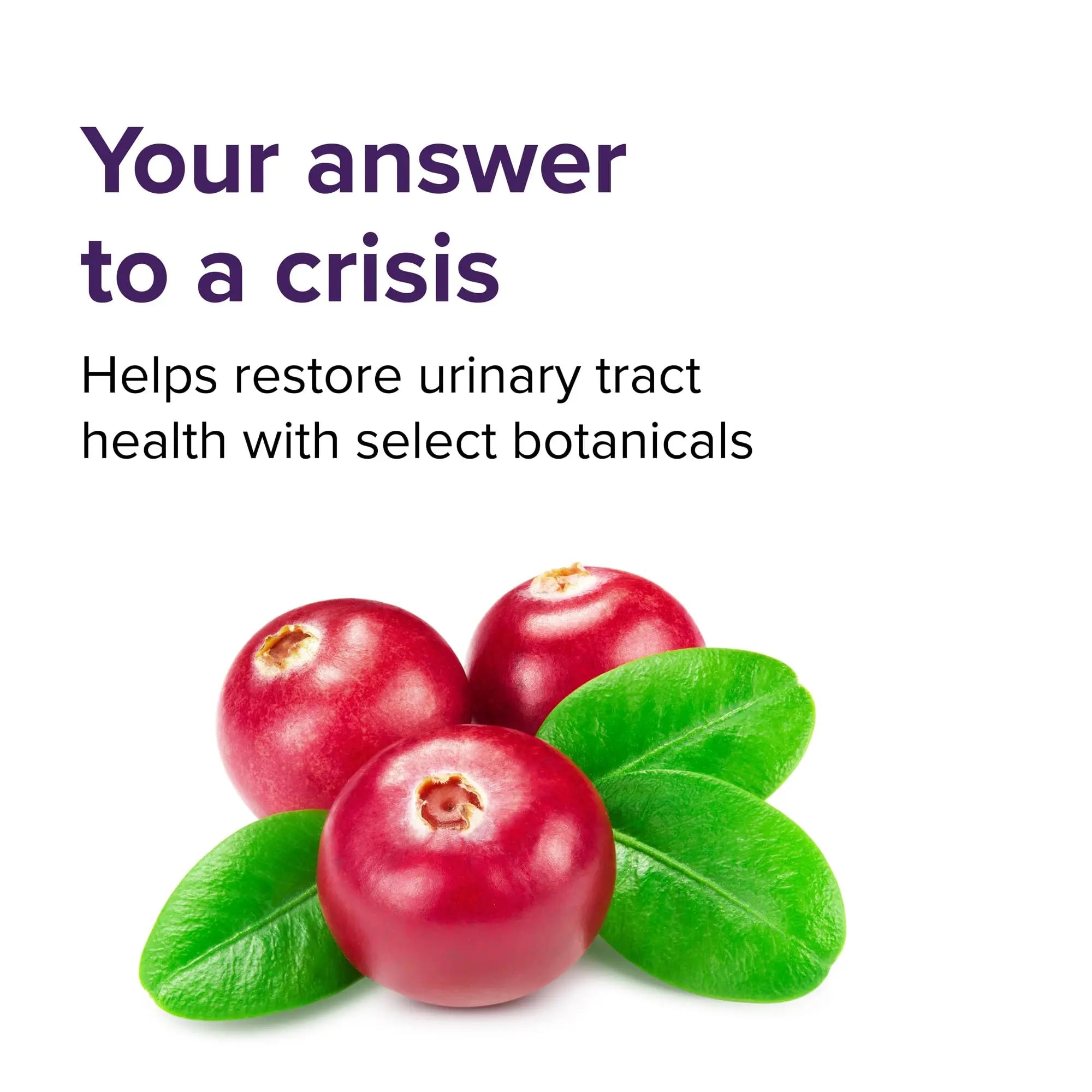 Vibrant Health, U.T. Vibrance Stick Packs, Crisis Intervention for Urinary Tract Health, 10 Servings Vibrant Health uk supplements