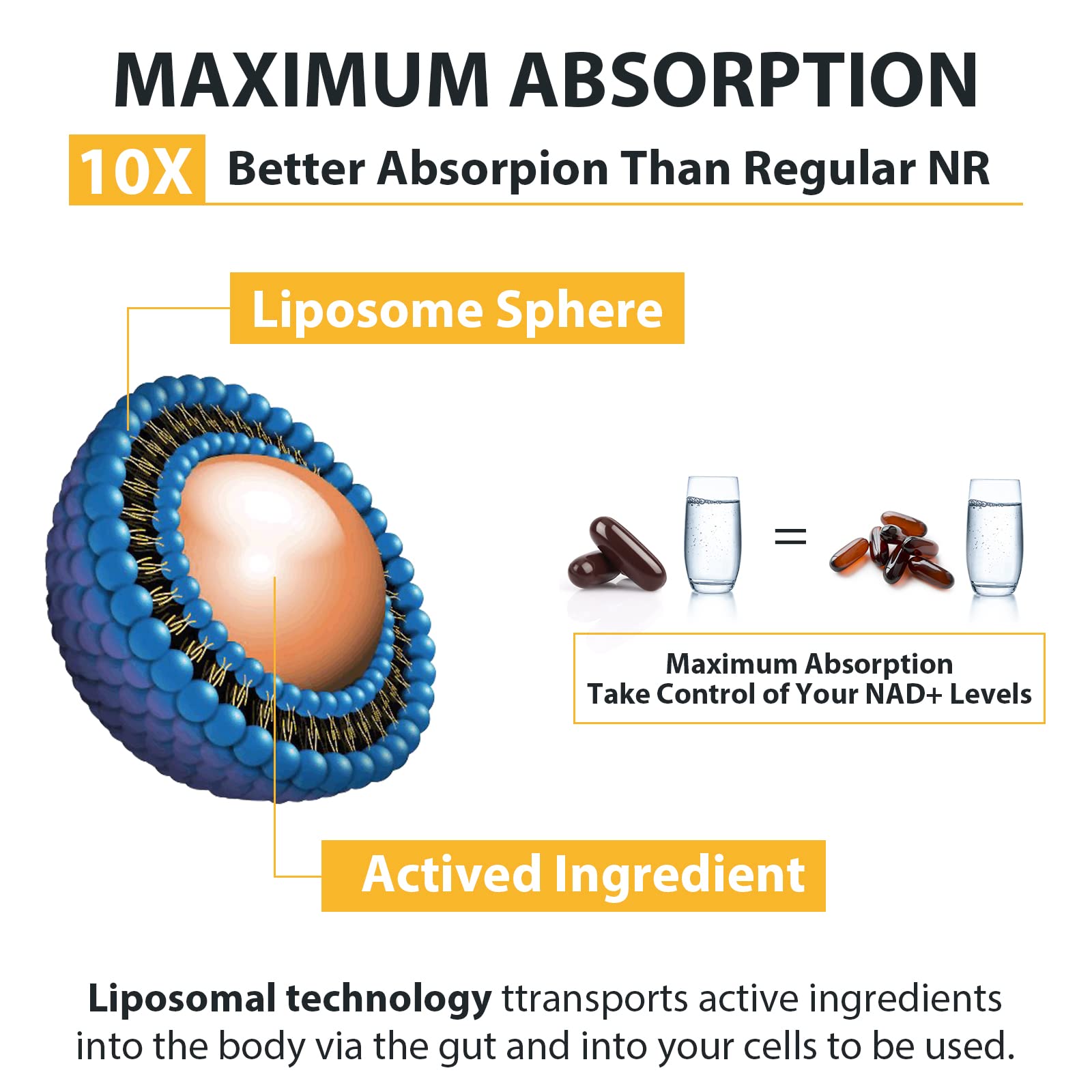 Liposomal Nicotinamide Riboside 2000 MG with TMG and Pterostilbene, Similar to NMN Supplements Boost NAD+, Support Healthy Aging, 240 Count Orgabay uk supplements
