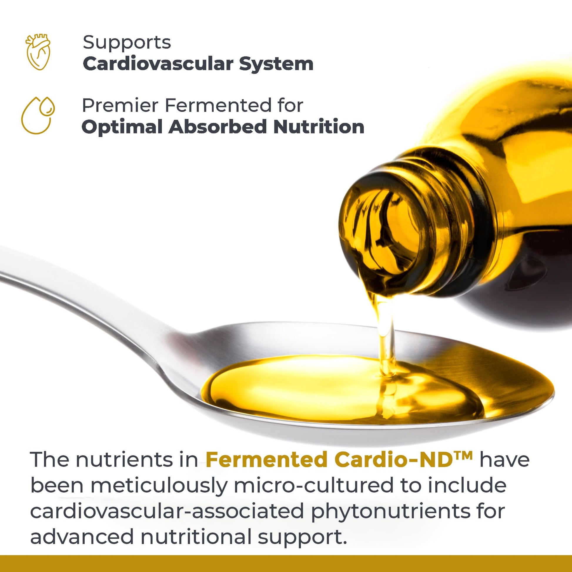 Premier Research Labs Fermented Cardio-ND - Cardio Heart Health, Cardio Support Liquid Fermented in Probiotics for Women, Men, Adults, Supports Heart Health with Hawthorne Berry - 8 fl oz Bottle Premier Research Labs uk supplements