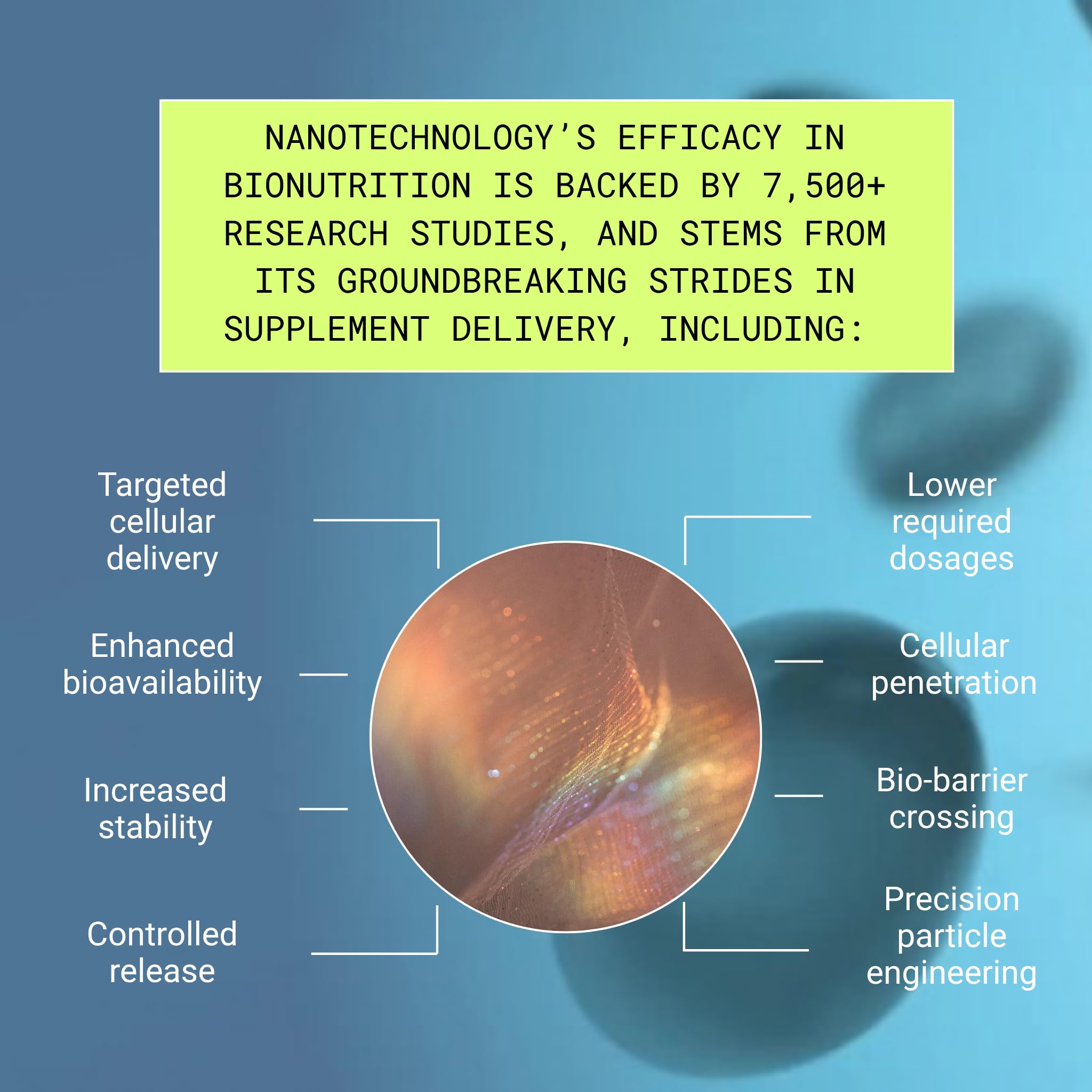Essential Brain Health Supplements Nootropic for Memory and Focus – for Adults with NanoCap® Technology, Phosphatidylserine, Bacopa, Ginkgo Biloba, Omega 3, B6, B12, 60 Softgels by Greedy® Nutrition Platinum Health uk supplements