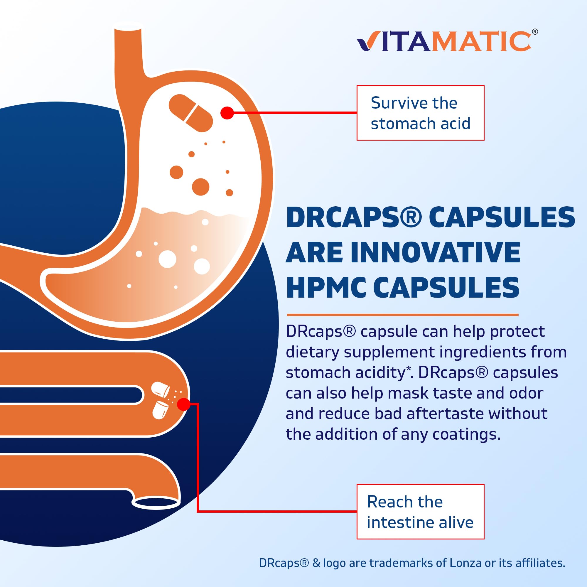 Vitamatic Lactobacillus Salivarius 2 Billion per DR Capsule - 60 Count - Digestive Support Vitamatic uk supplements
