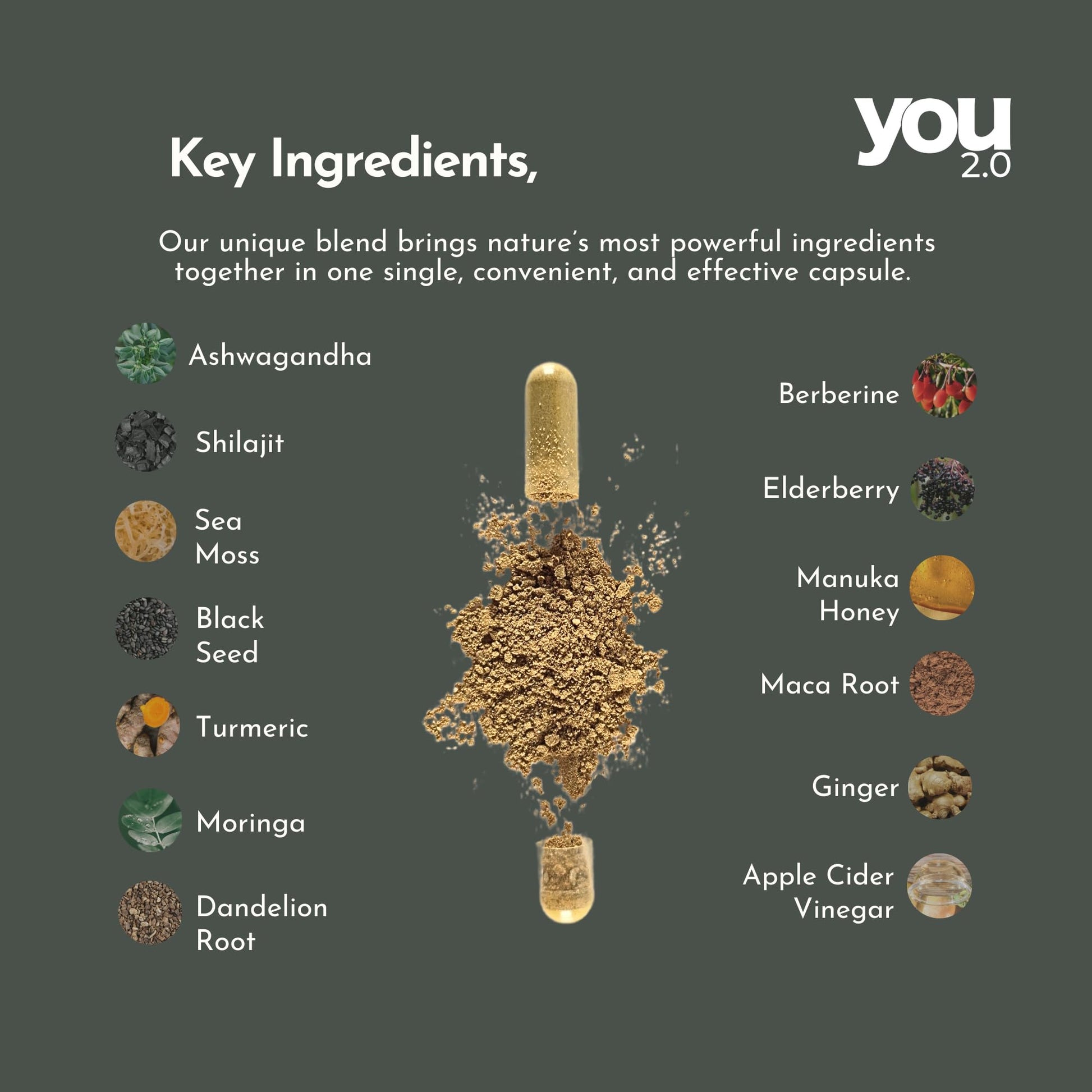 YOU 2.0 Powerhouse Superfood with Seamoss, Shilajit, Ashwagandha, Berberine, Maca, Black Seed Oil, Turmeric, Vitamin C, D, B12, K2 - Moringa, Apple Cider, Made in USA for Overall Health & Immunity YOU 2.0 uk supplements