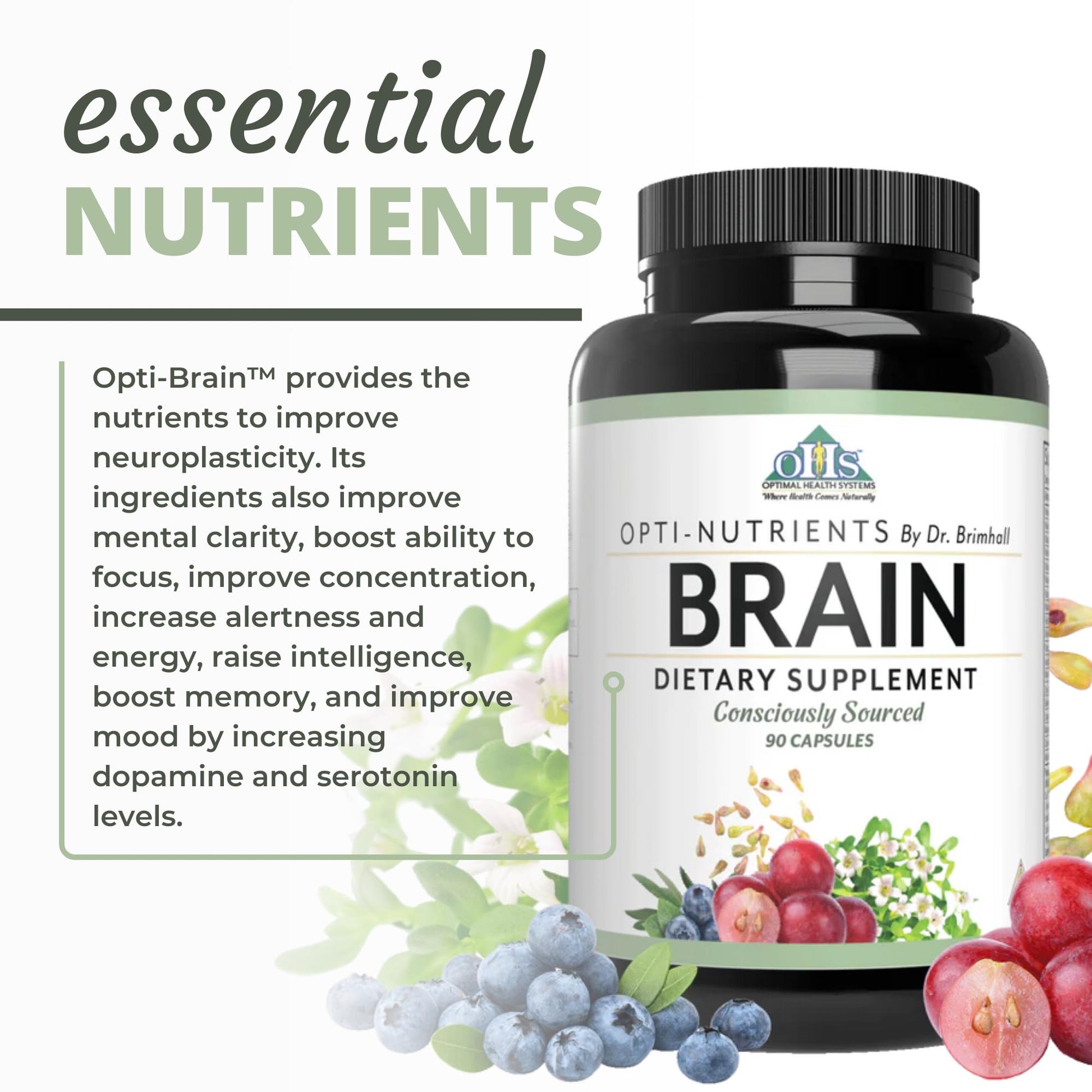Optimal Health Systems Brain | Most Comprehensive Nootropic + Enzyme Delivery | 700 mg Scientific Neuroenhancment Blend | Boost Mood, Memory & Focus | 90 Capsules Optimal Health Systems uk supplements