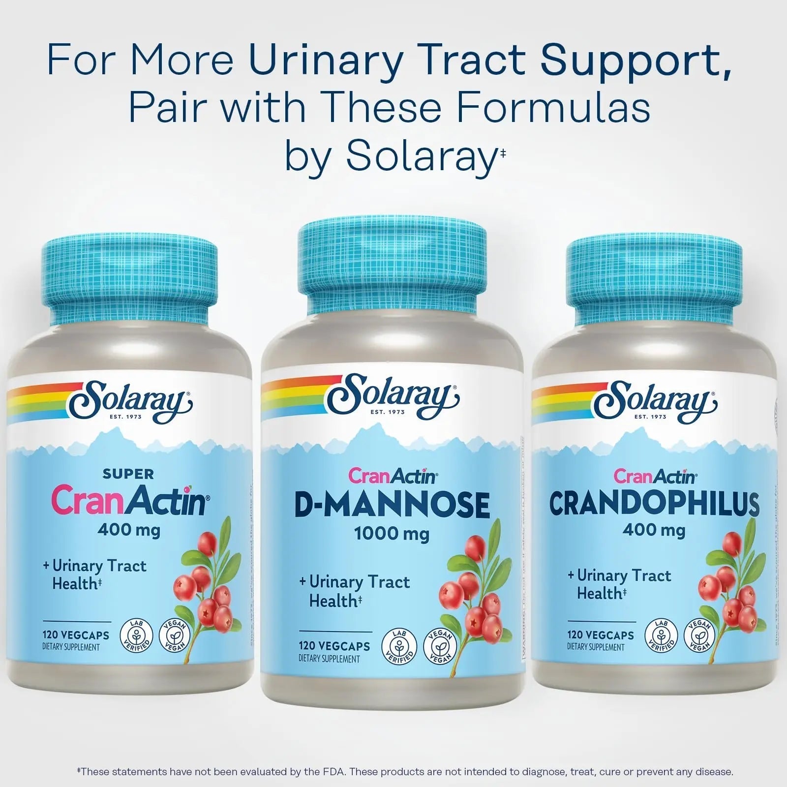 SOLARAY D-Mannose 1000mg with CranActin Cranberry Supplement 400mg, Urinary Tract Health & Bladder Support Capsules with Vitamin C, Vegan, 60 Day Guarantee, 60 Servings, 120 VegCaps (120 CT) SOLARAY uk supplements